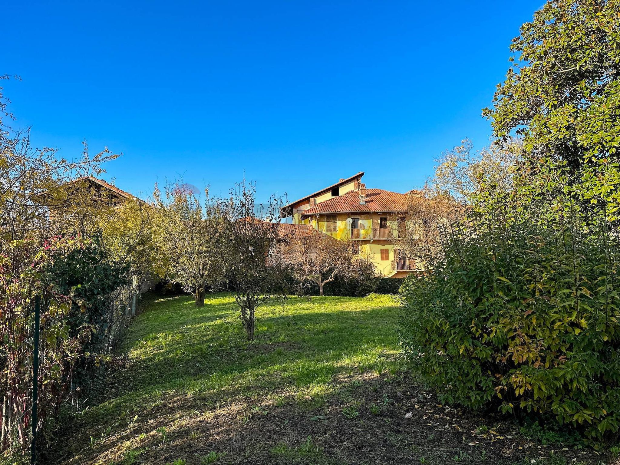 Giardino