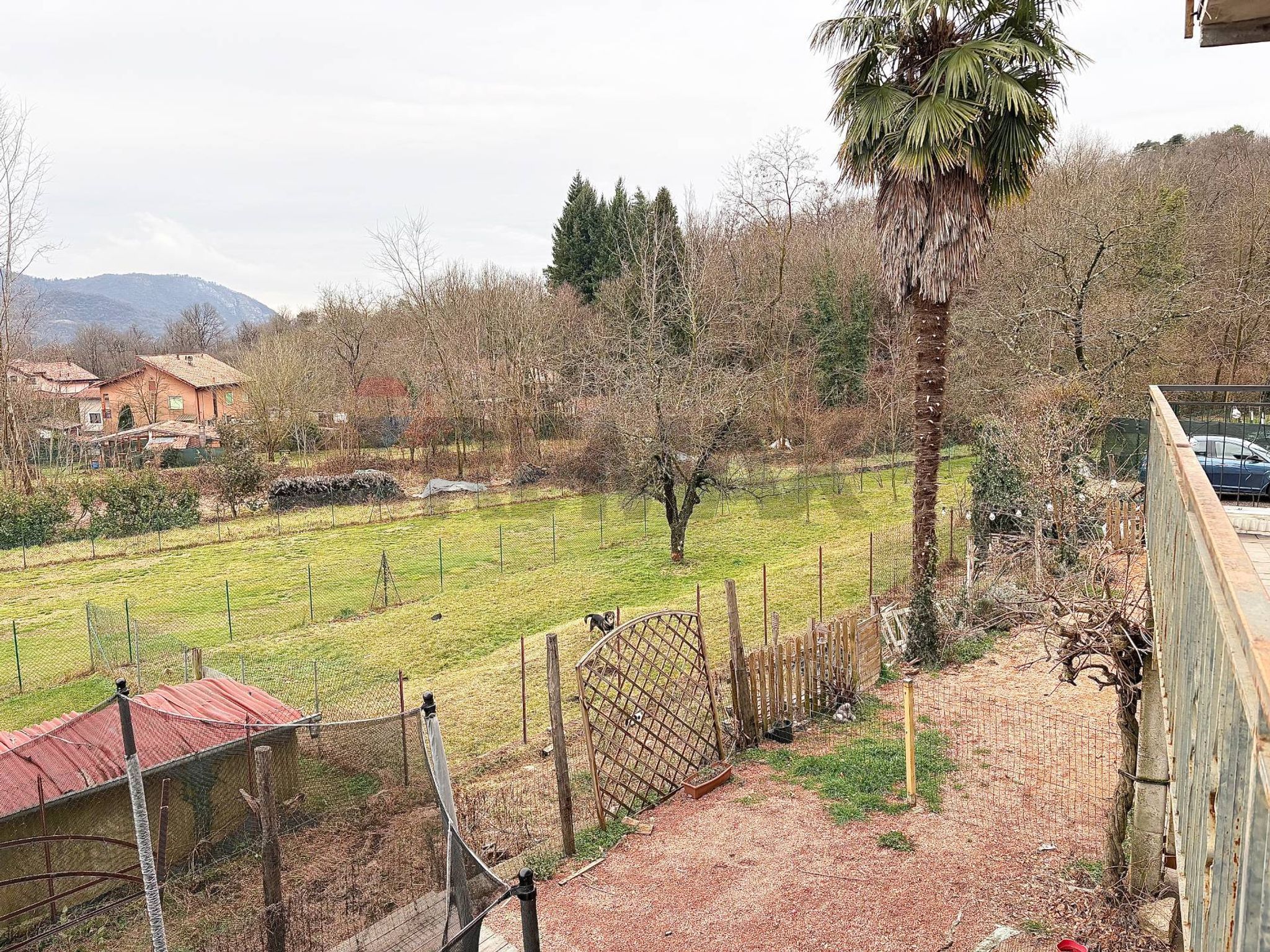 Giardino