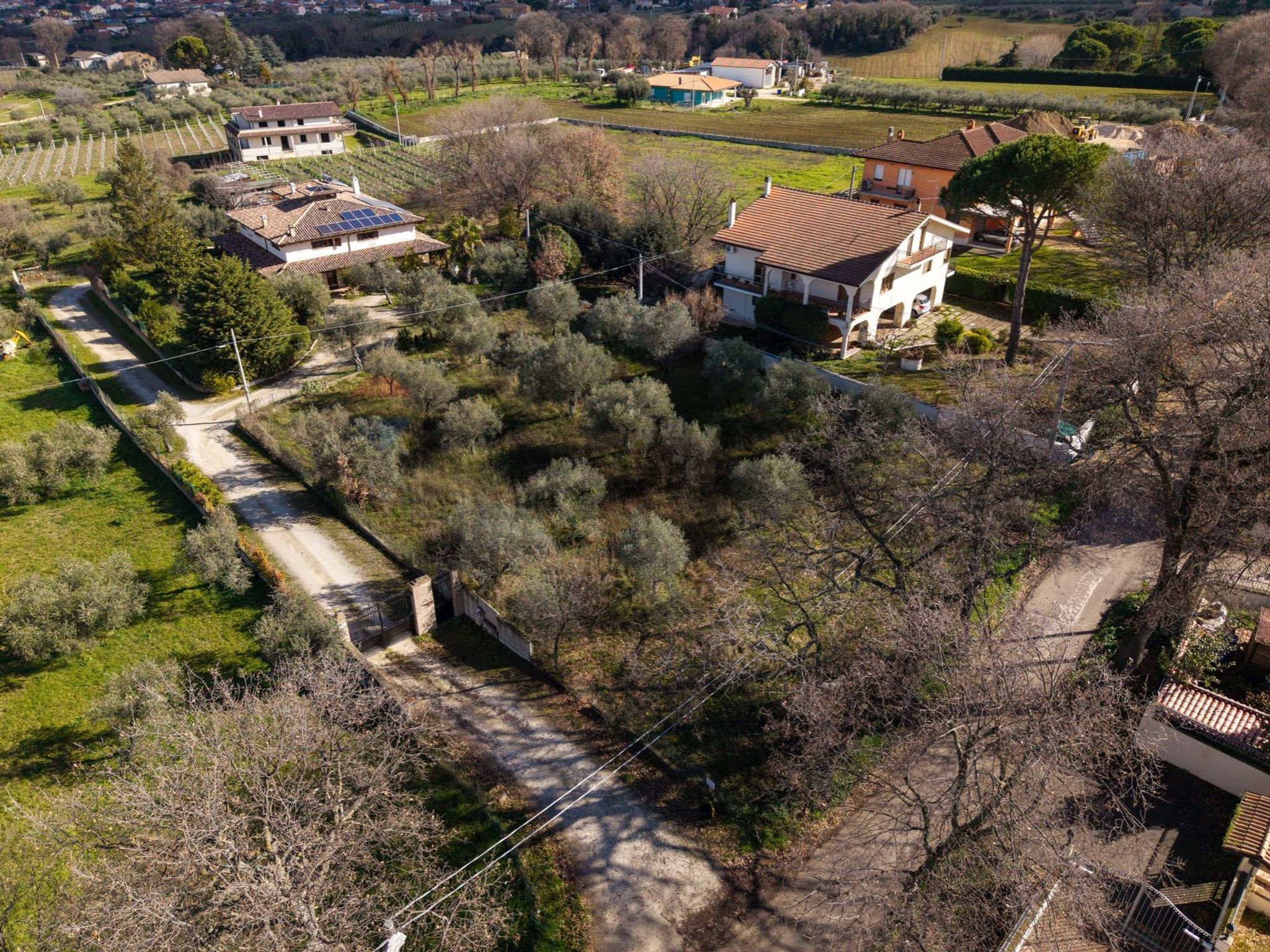 Vista delle montagne