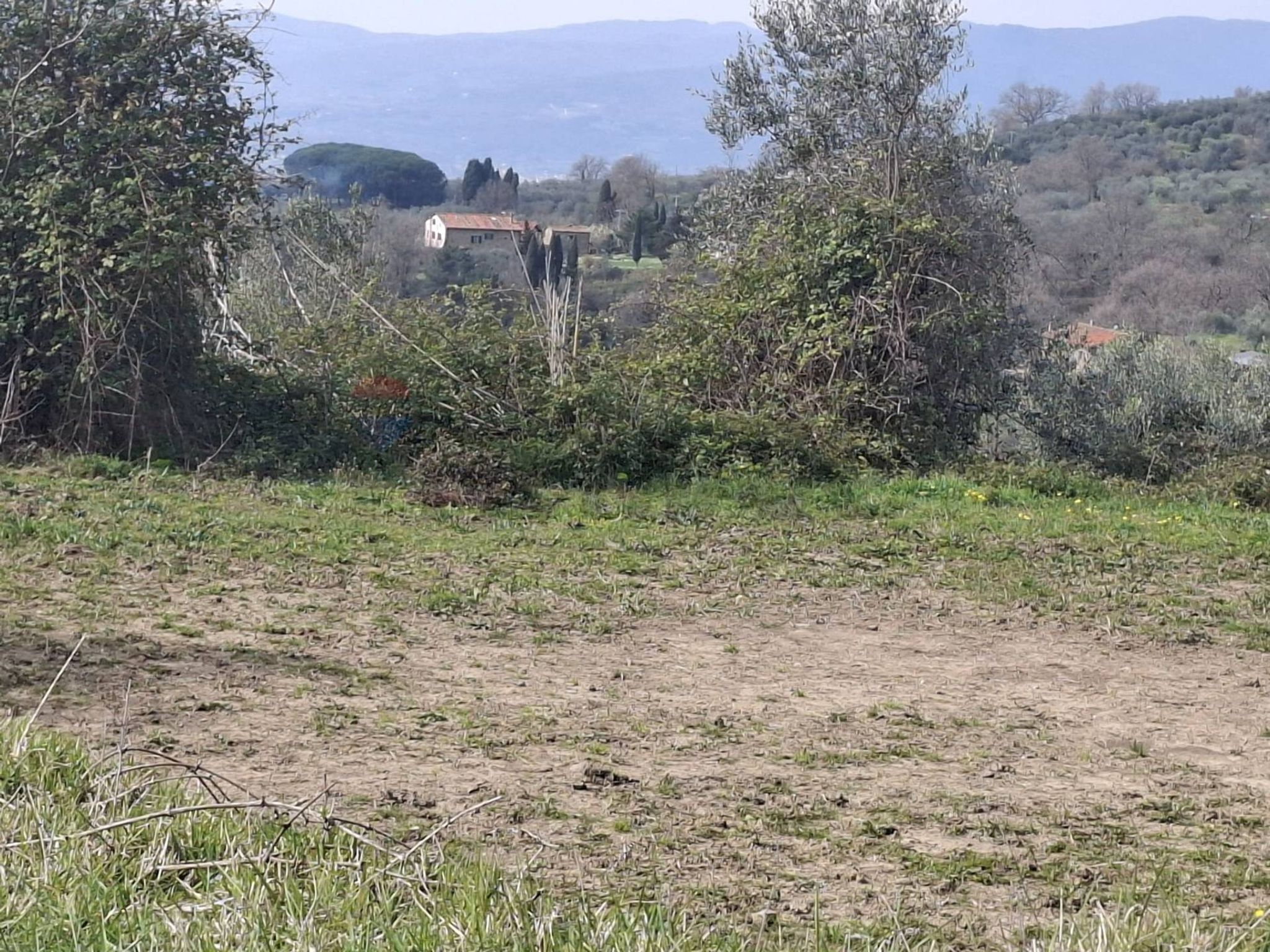 Non correlato