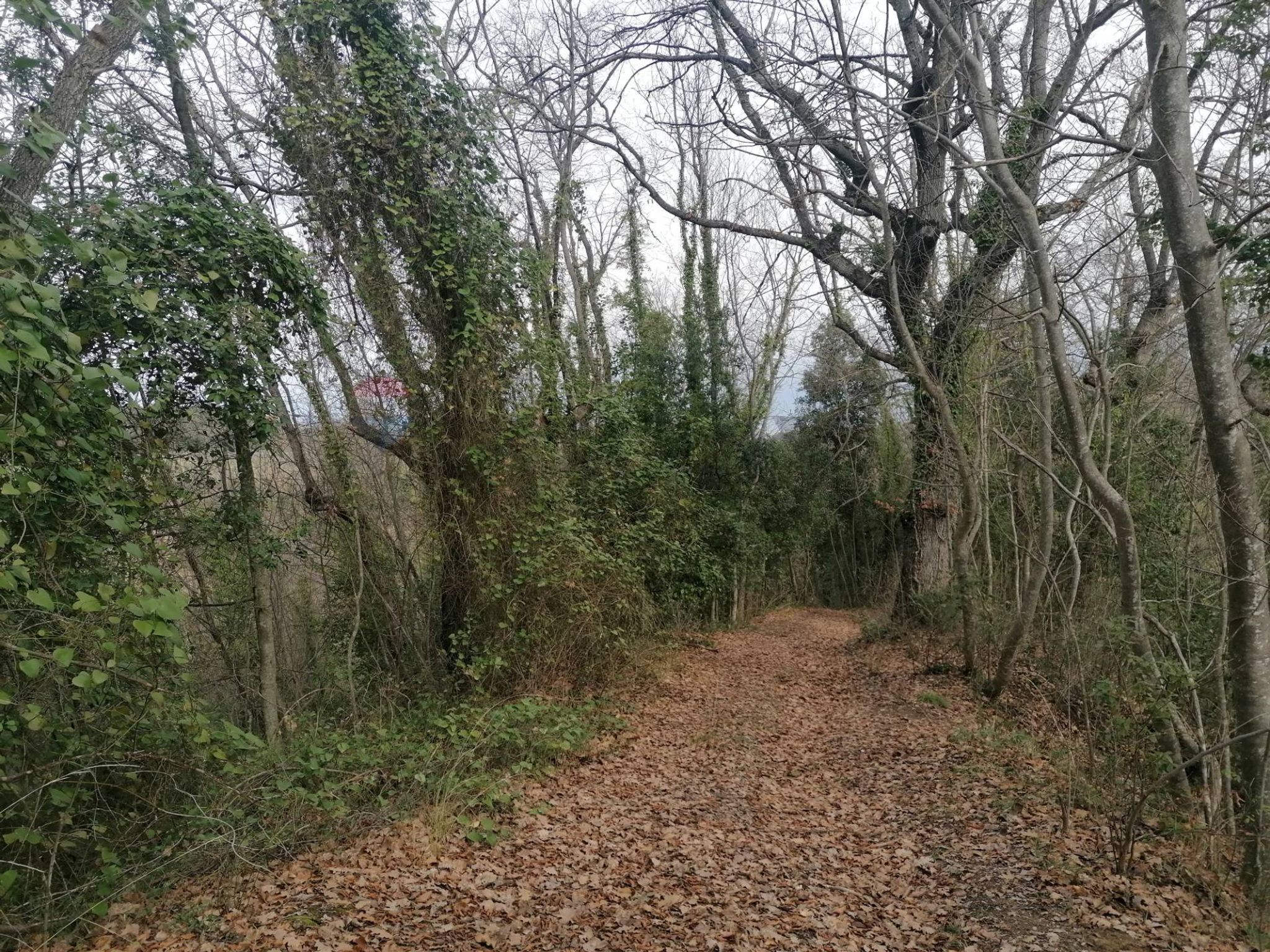Property in Filetto