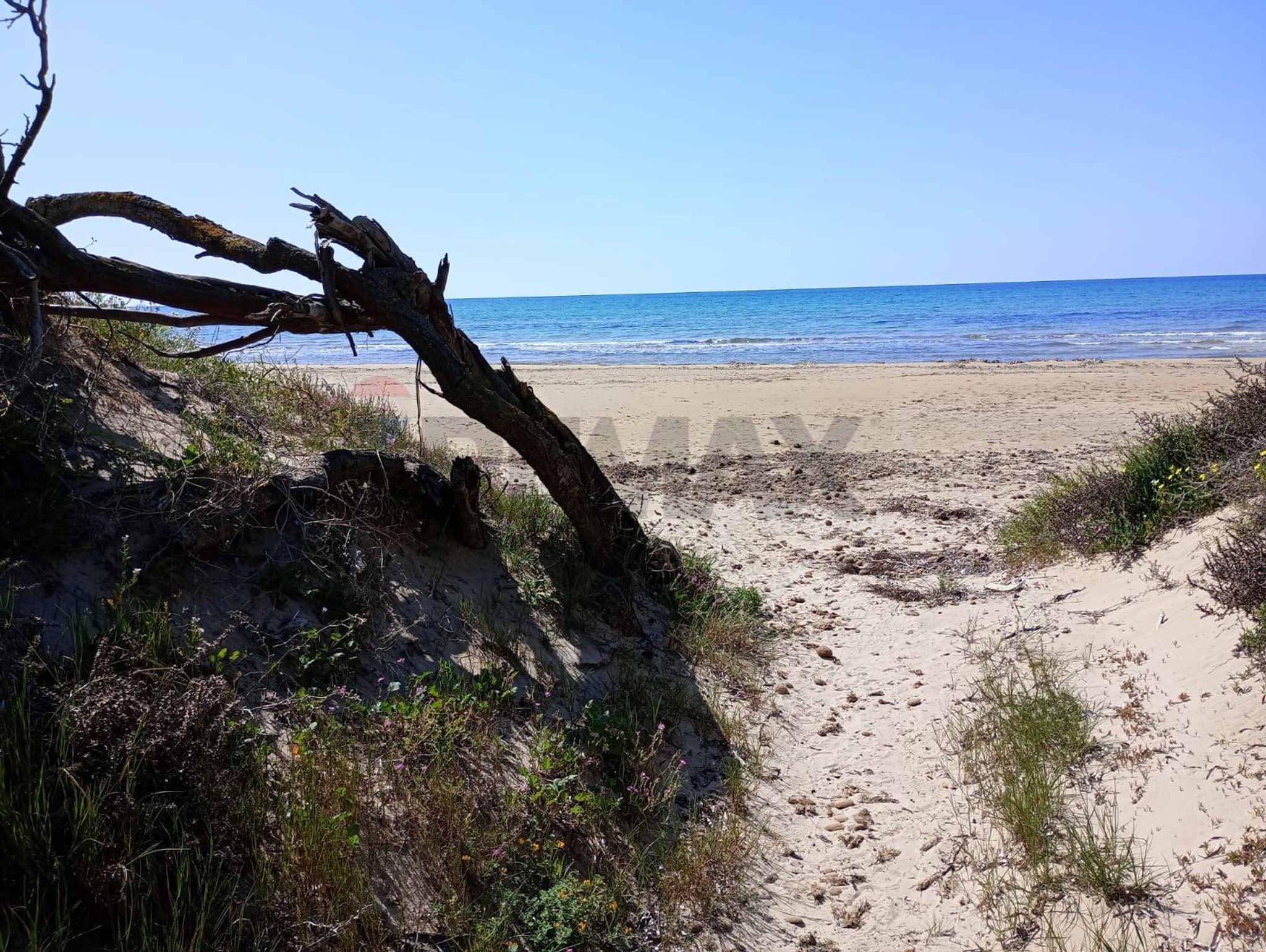 Vista dell'acqua
