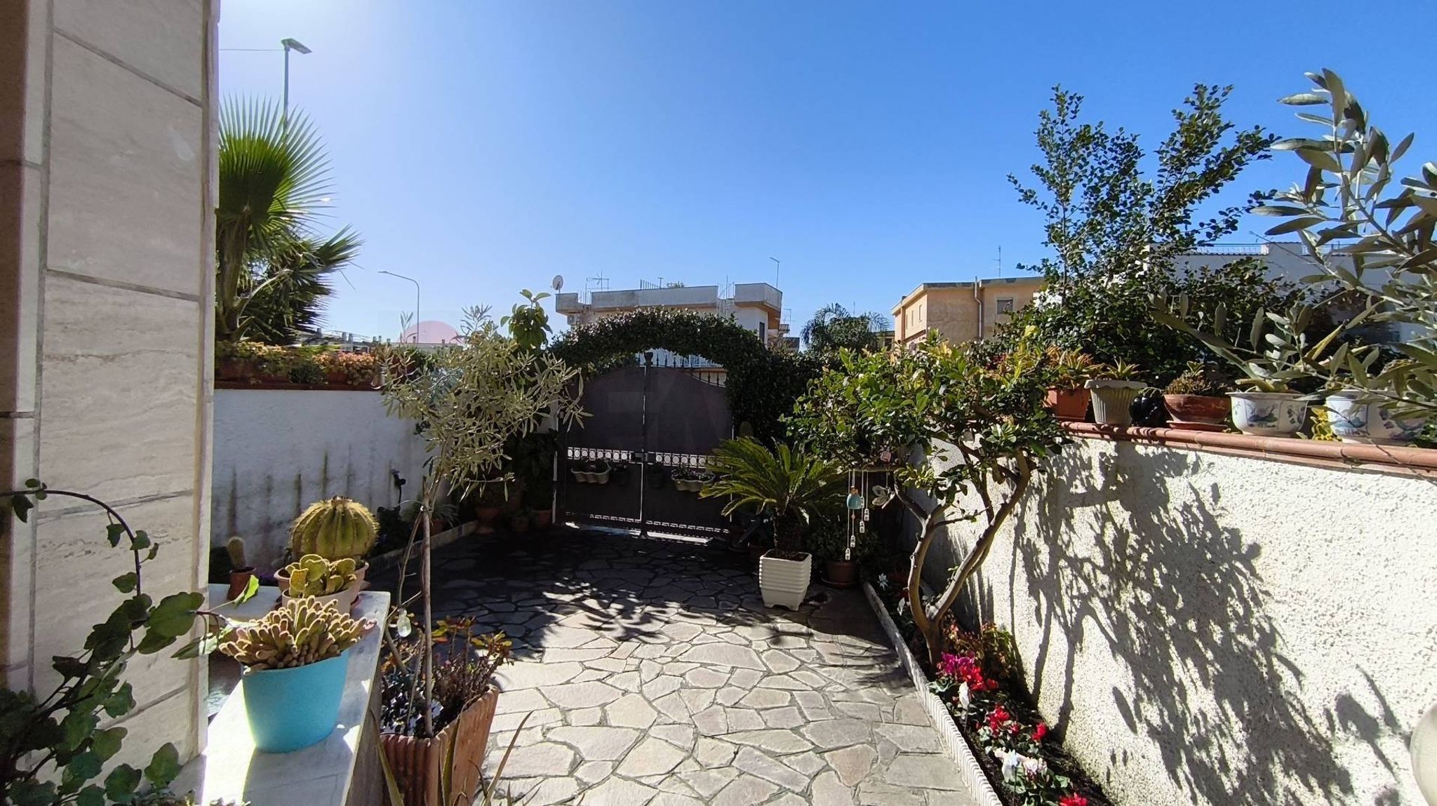 Terrazza