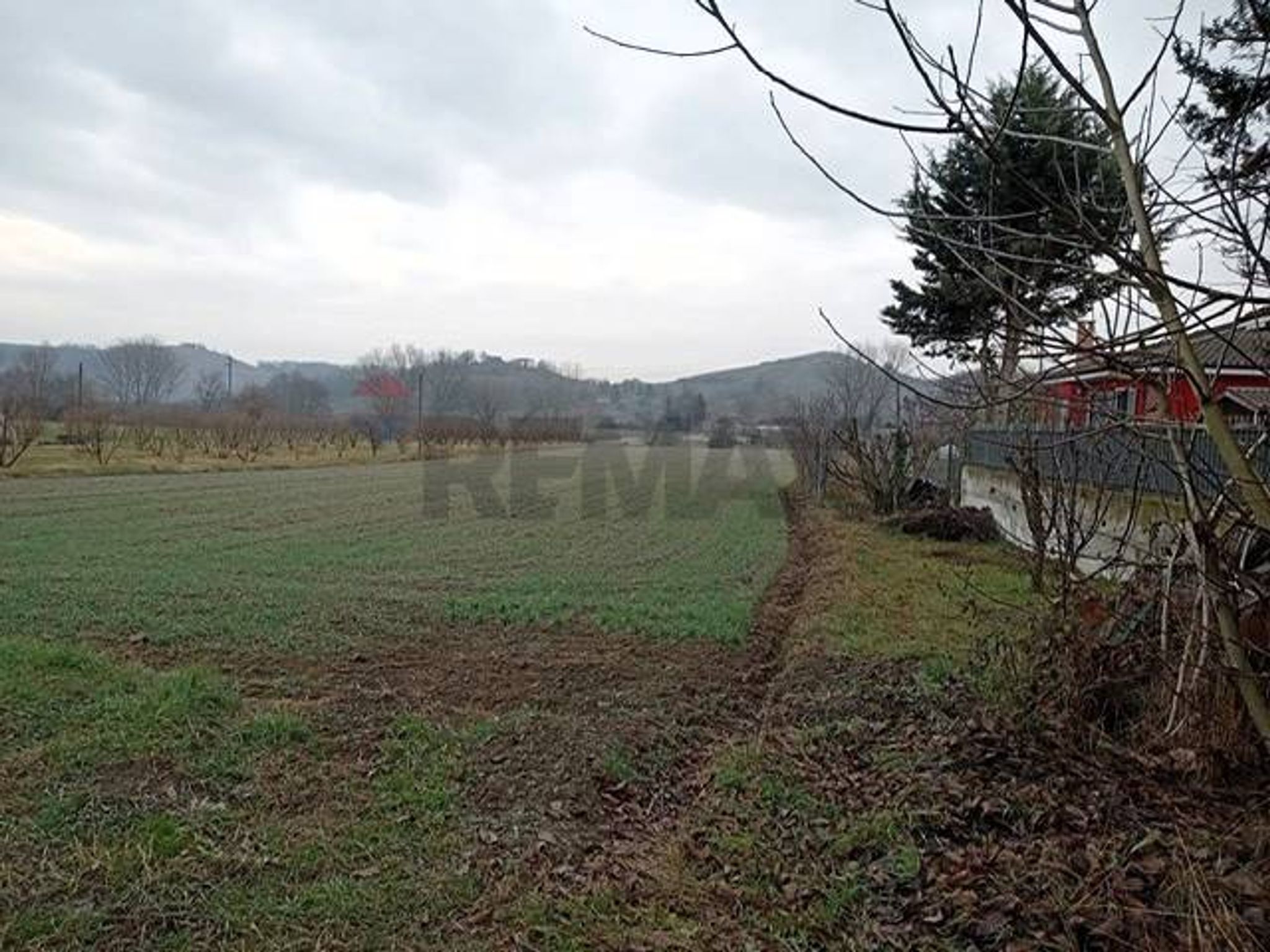 Vista delle montagne