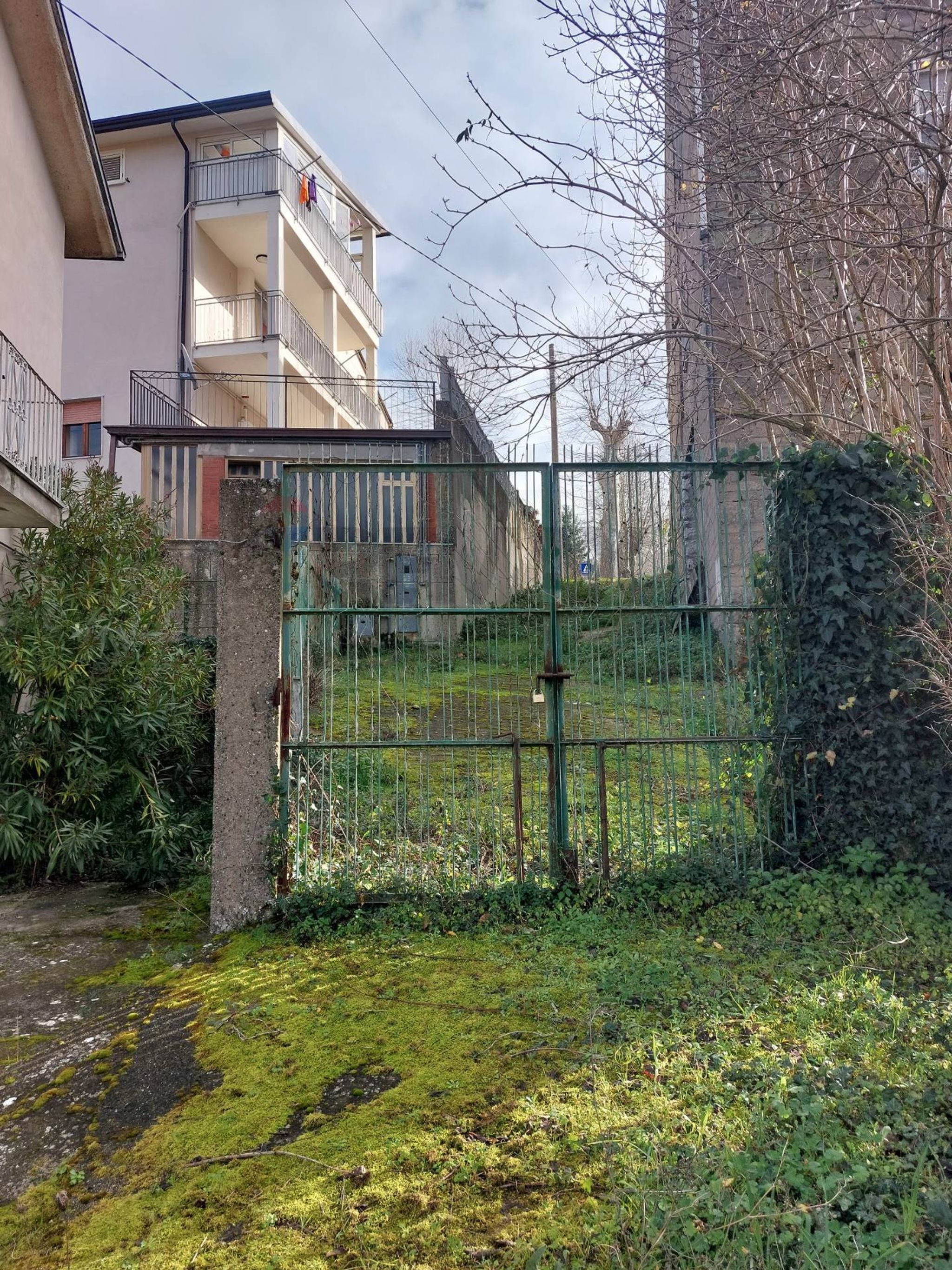 Giardino