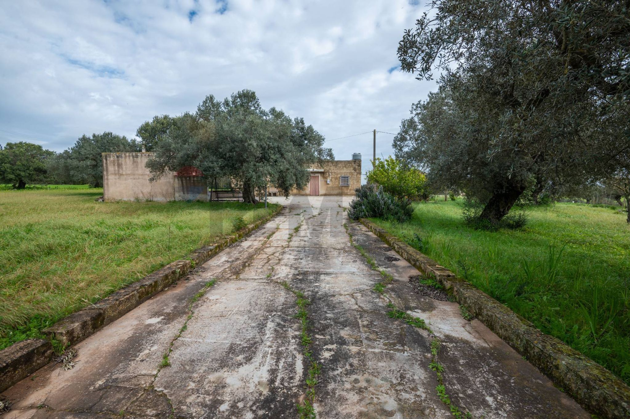 Giardino