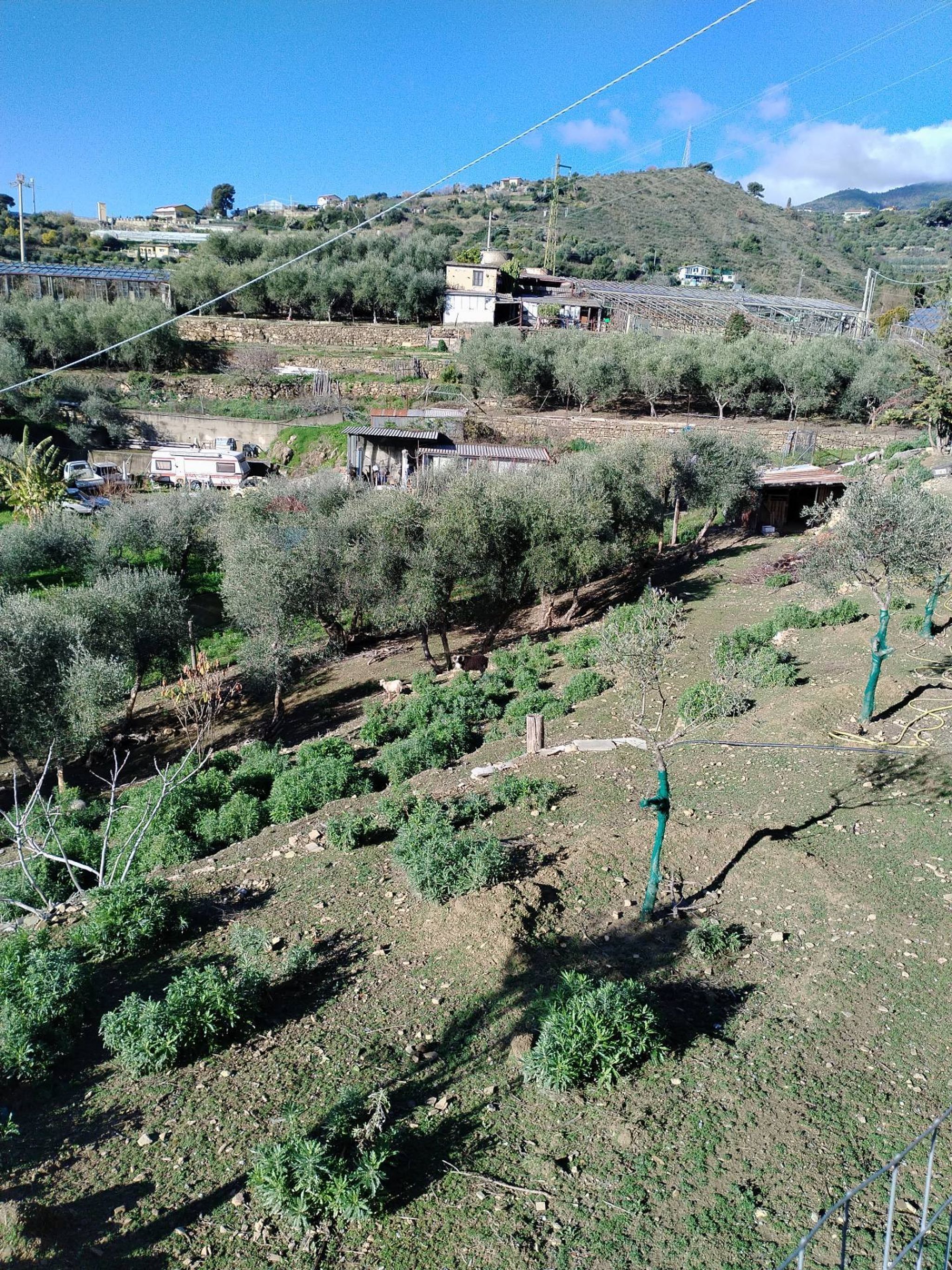 Vista delle montagne