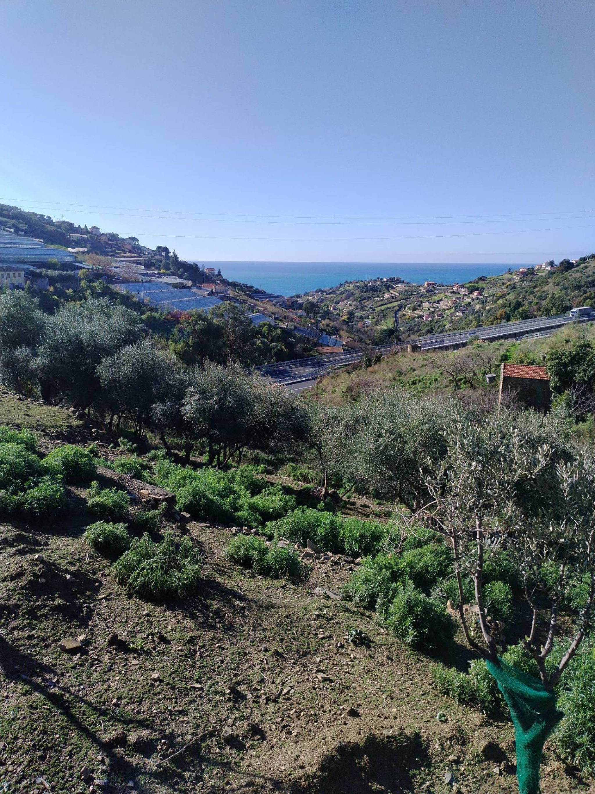 Vista delle montagne
