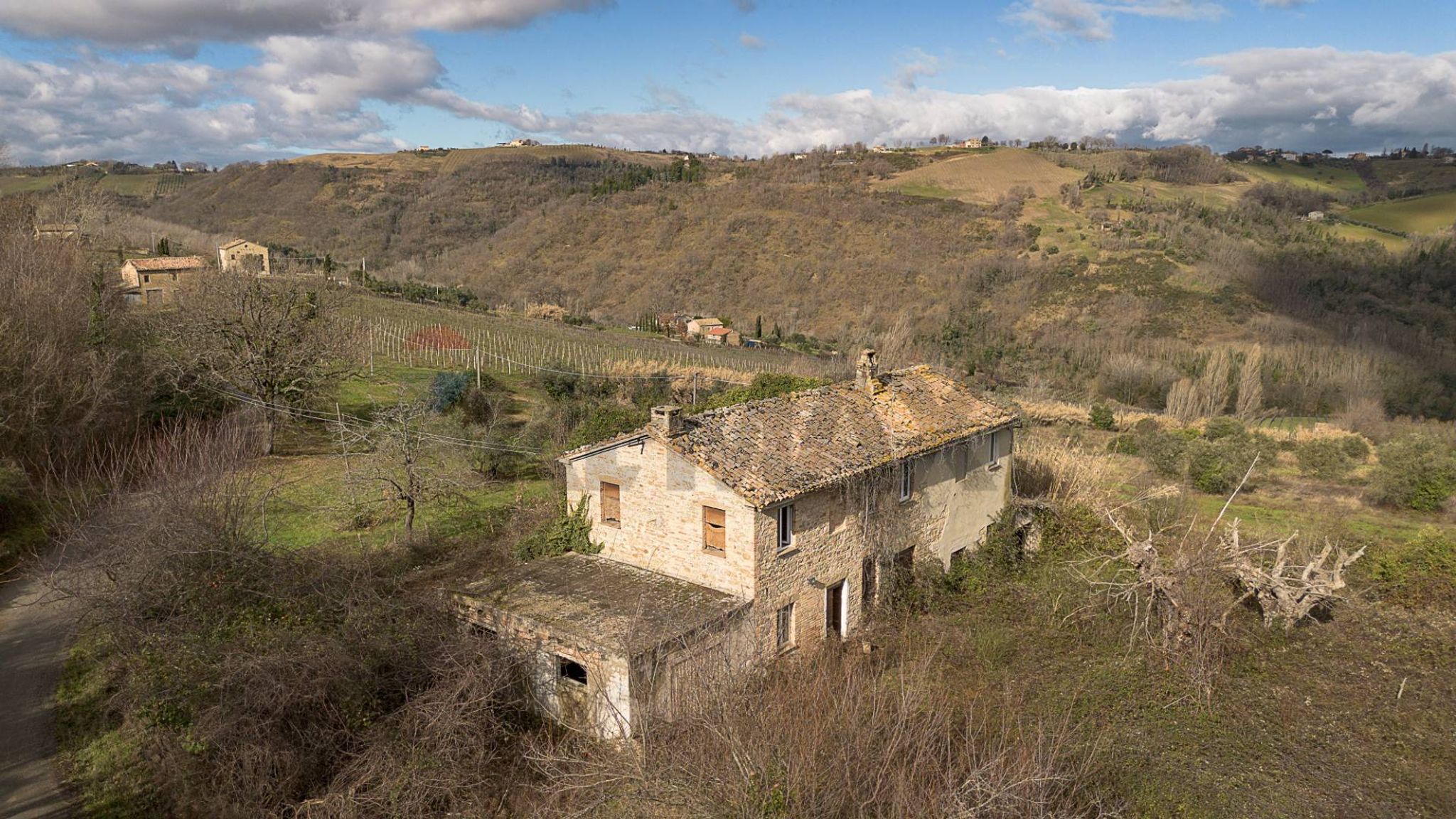 Vista delle montagne