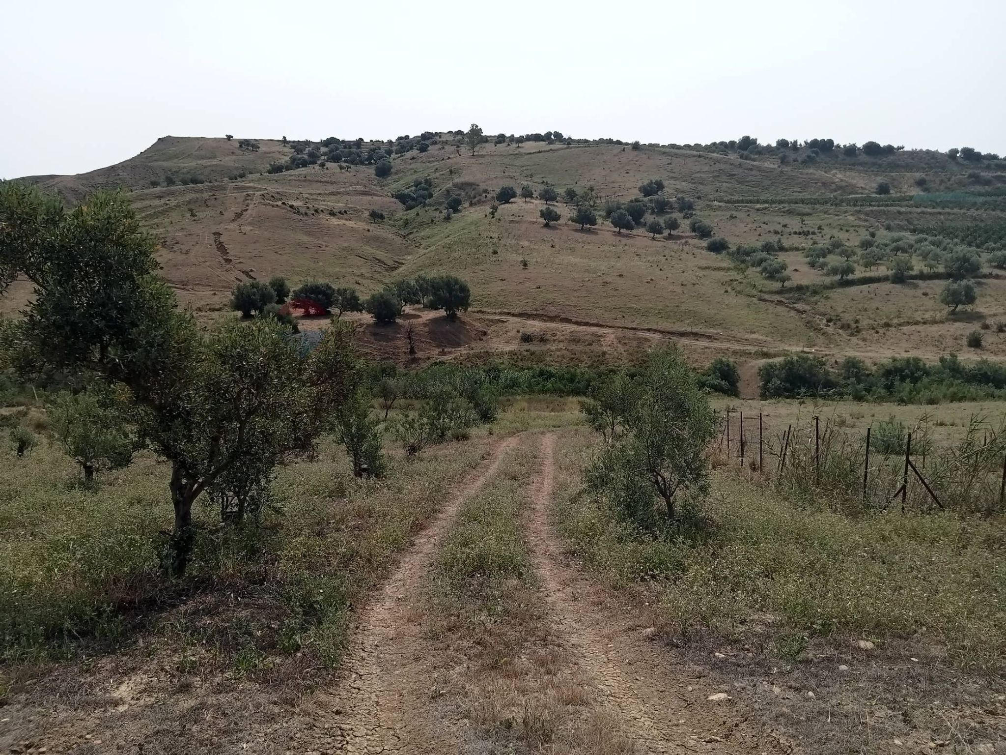 Vista delle montagne