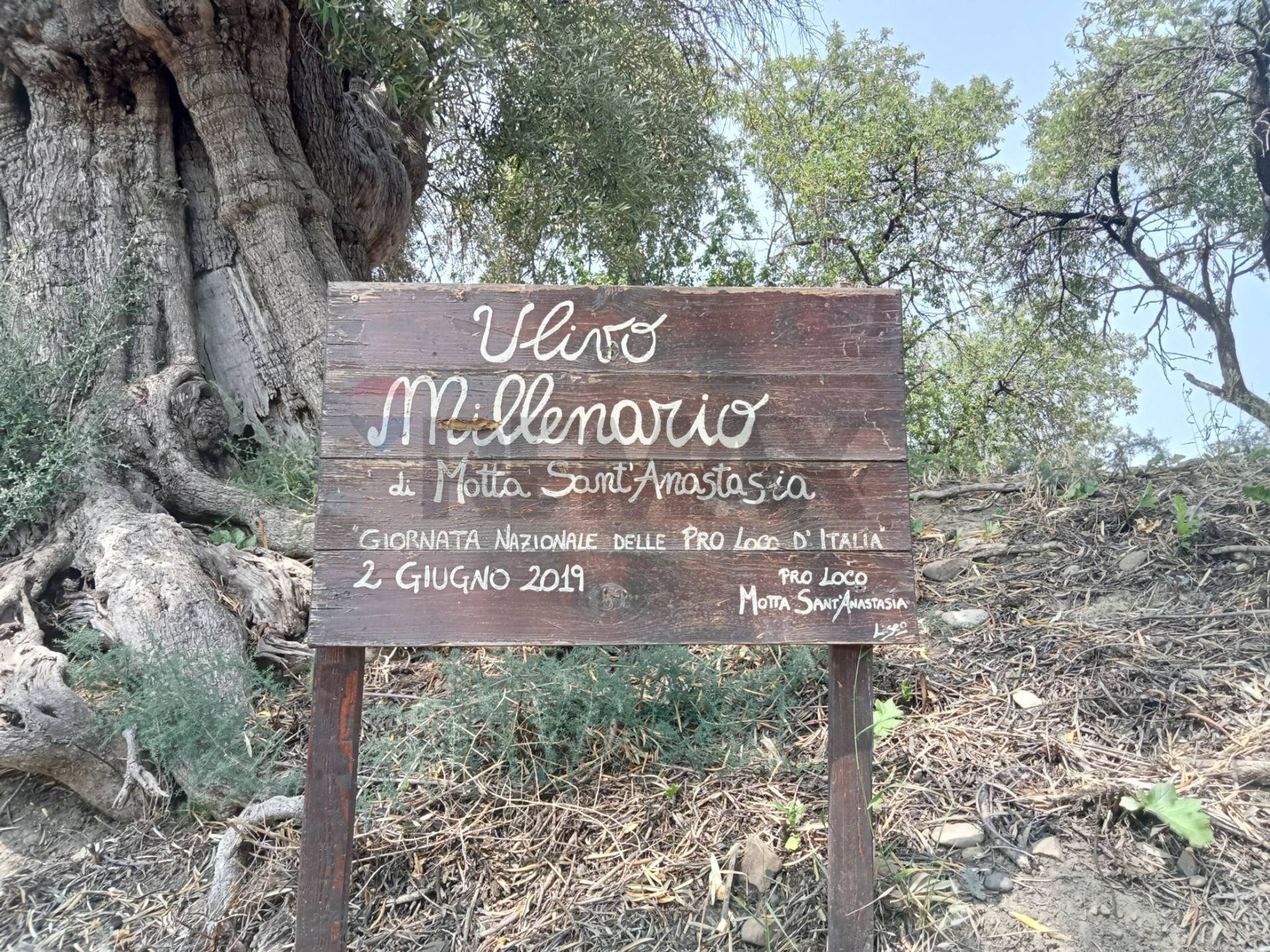 Property in Motta Sant'Anastasia