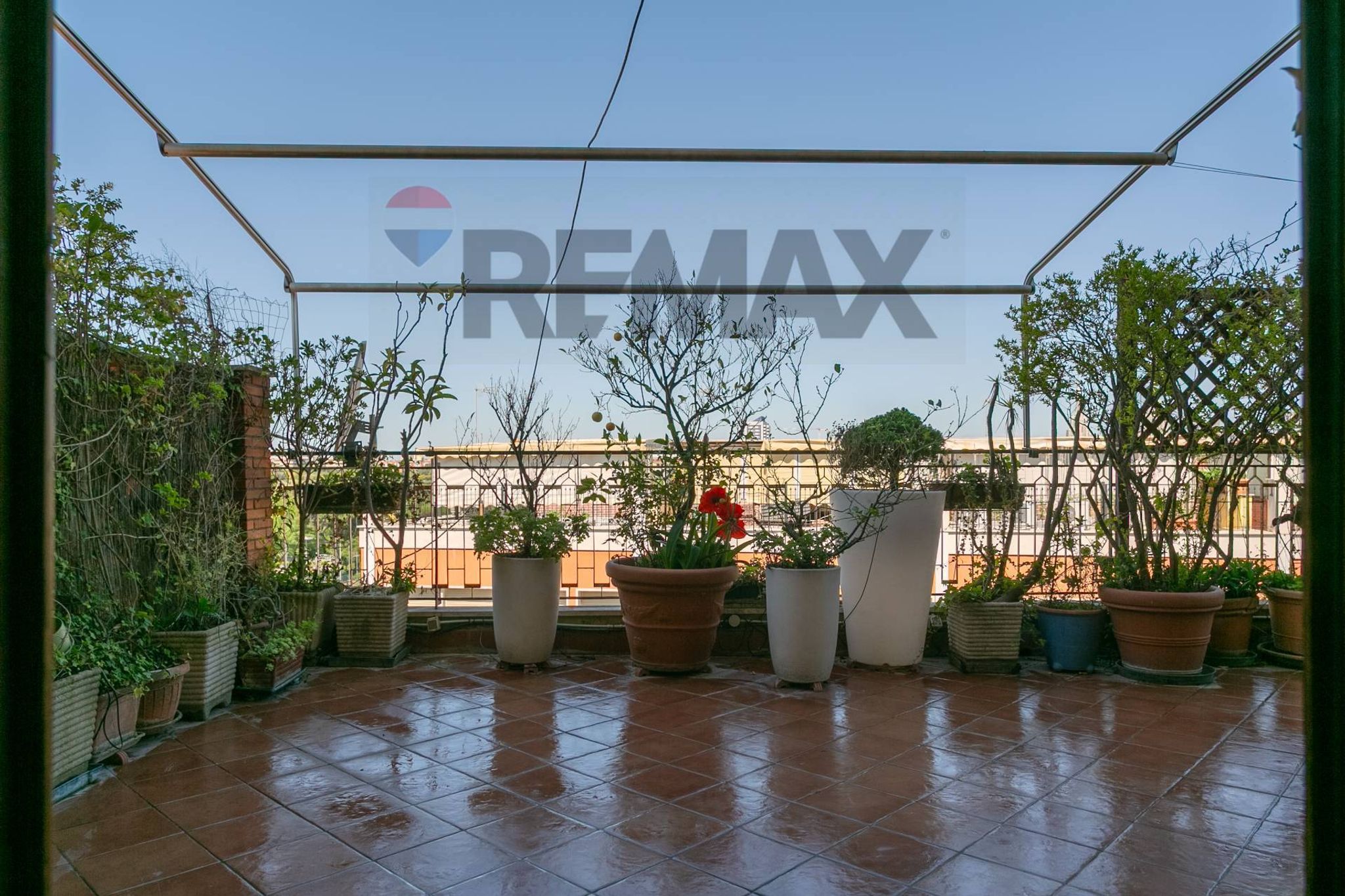 Property in Roma