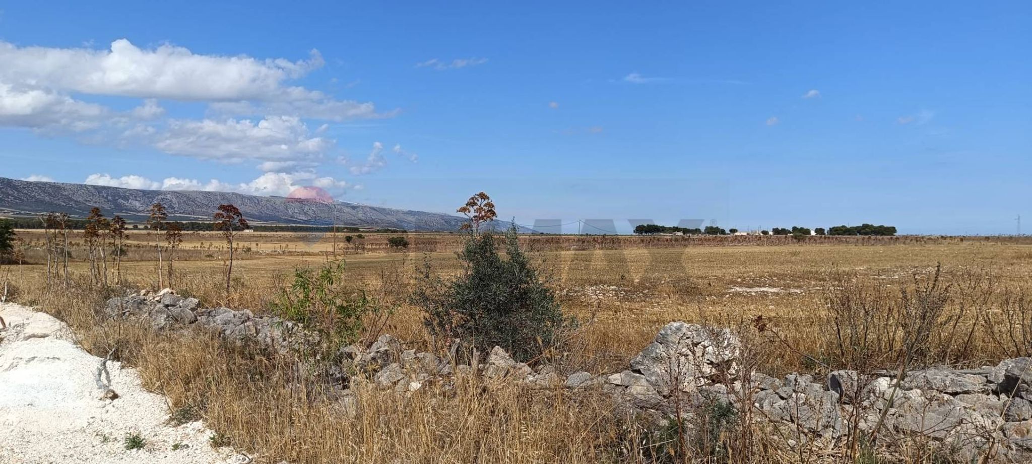 Vista delle montagne