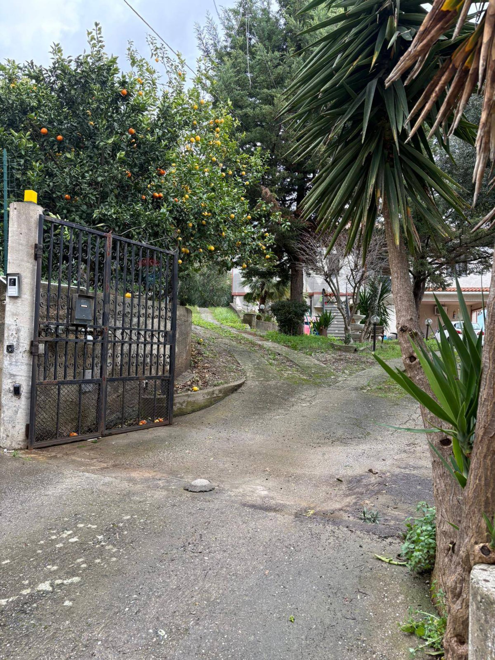 Giardino