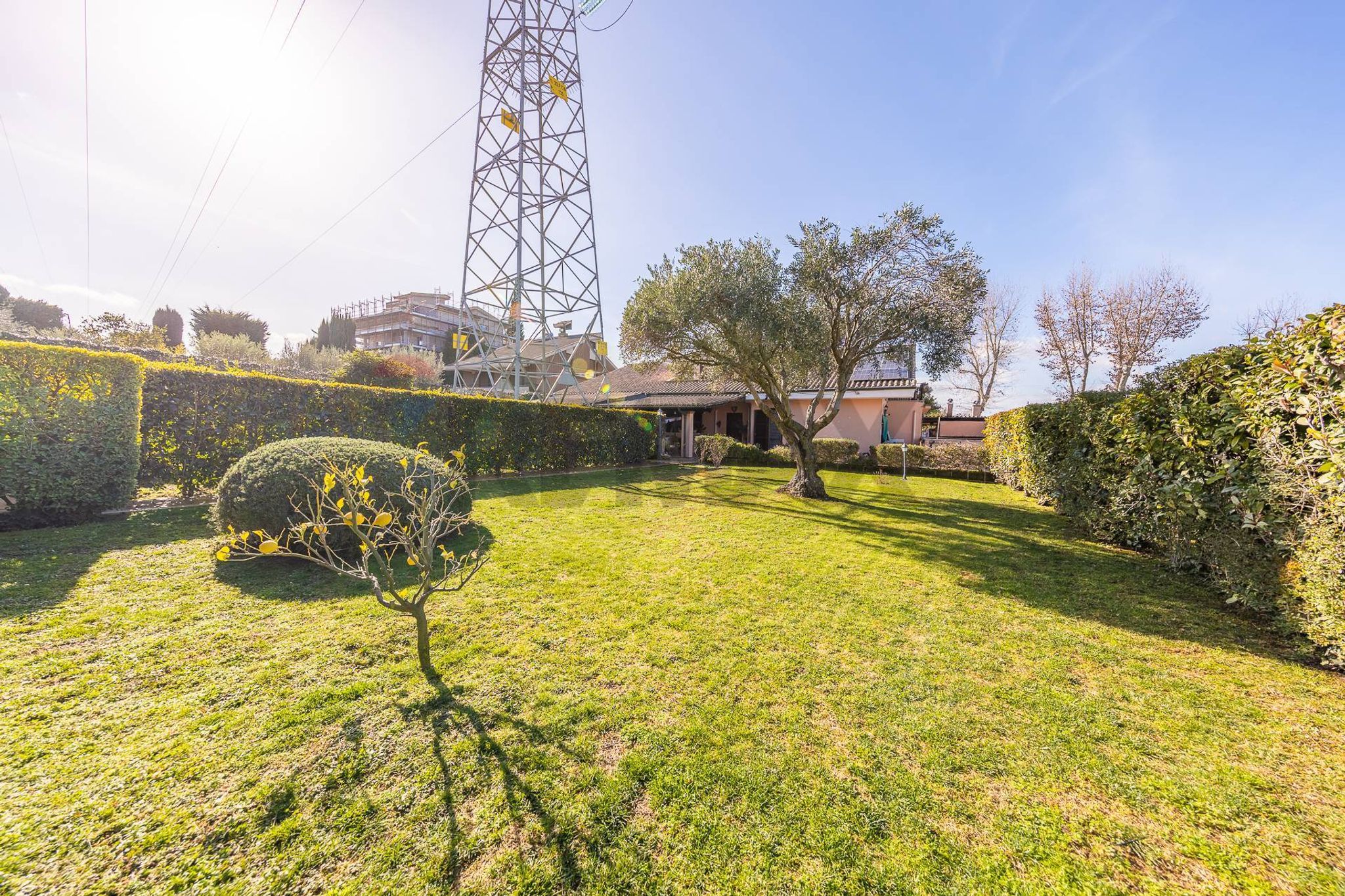 Giardino