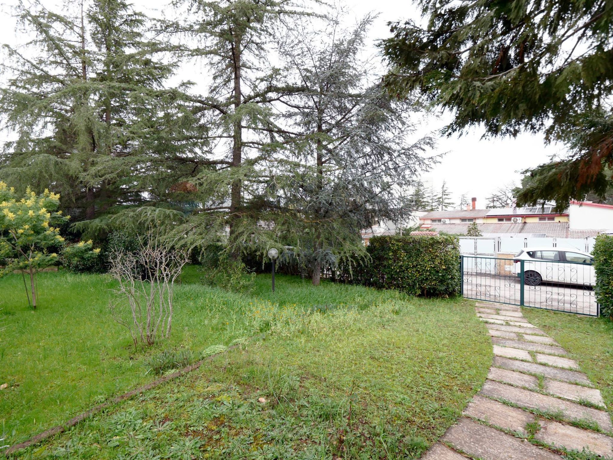 Giardino