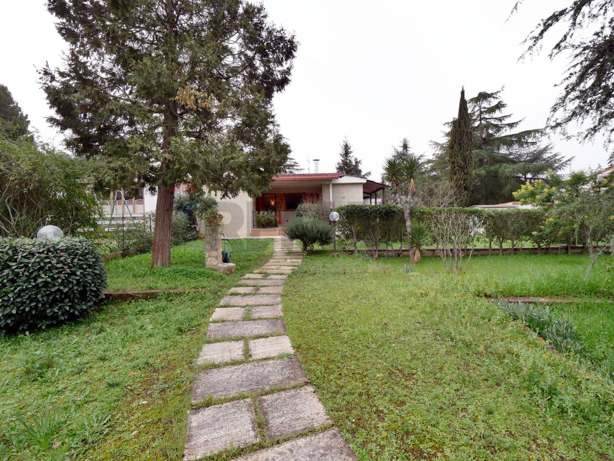 Giardino