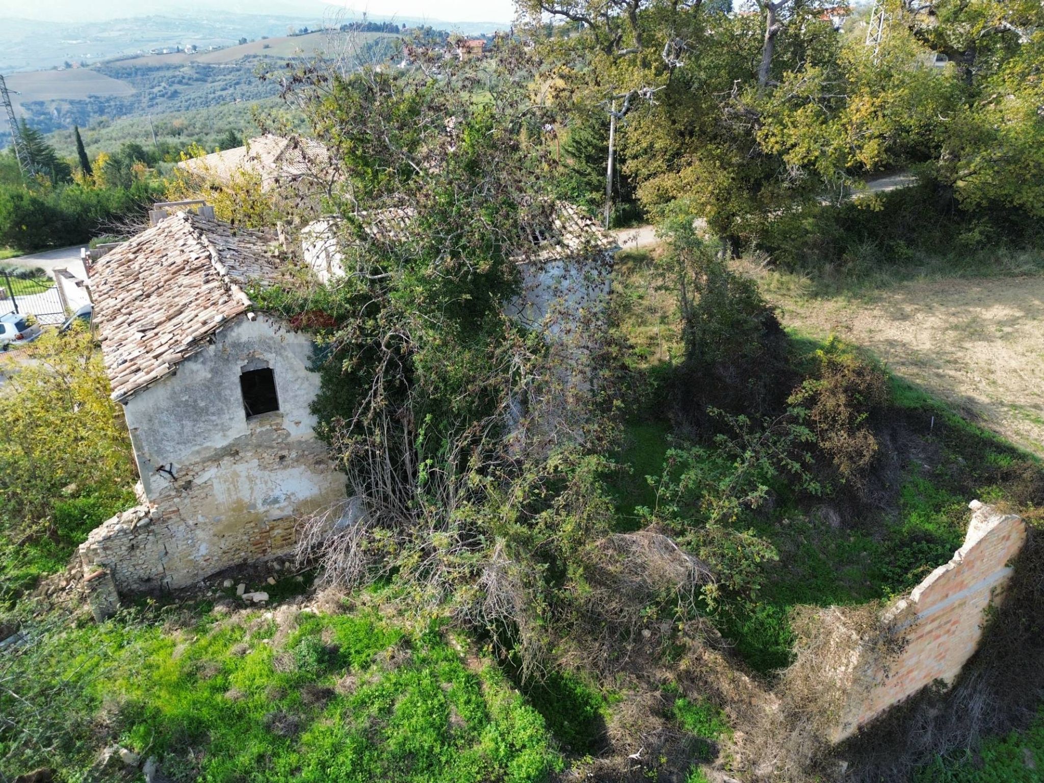 Giardino