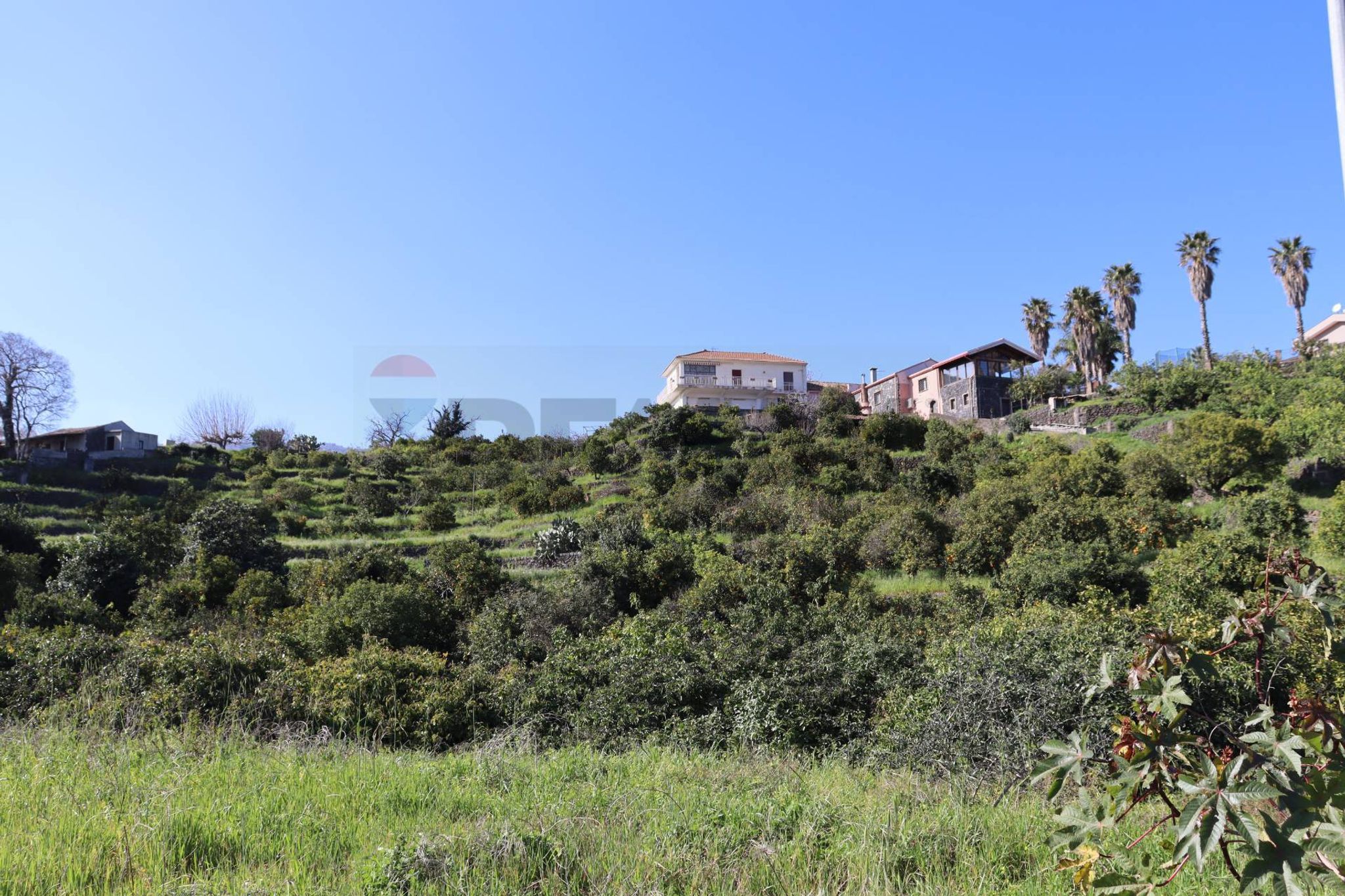 Vista delle montagne