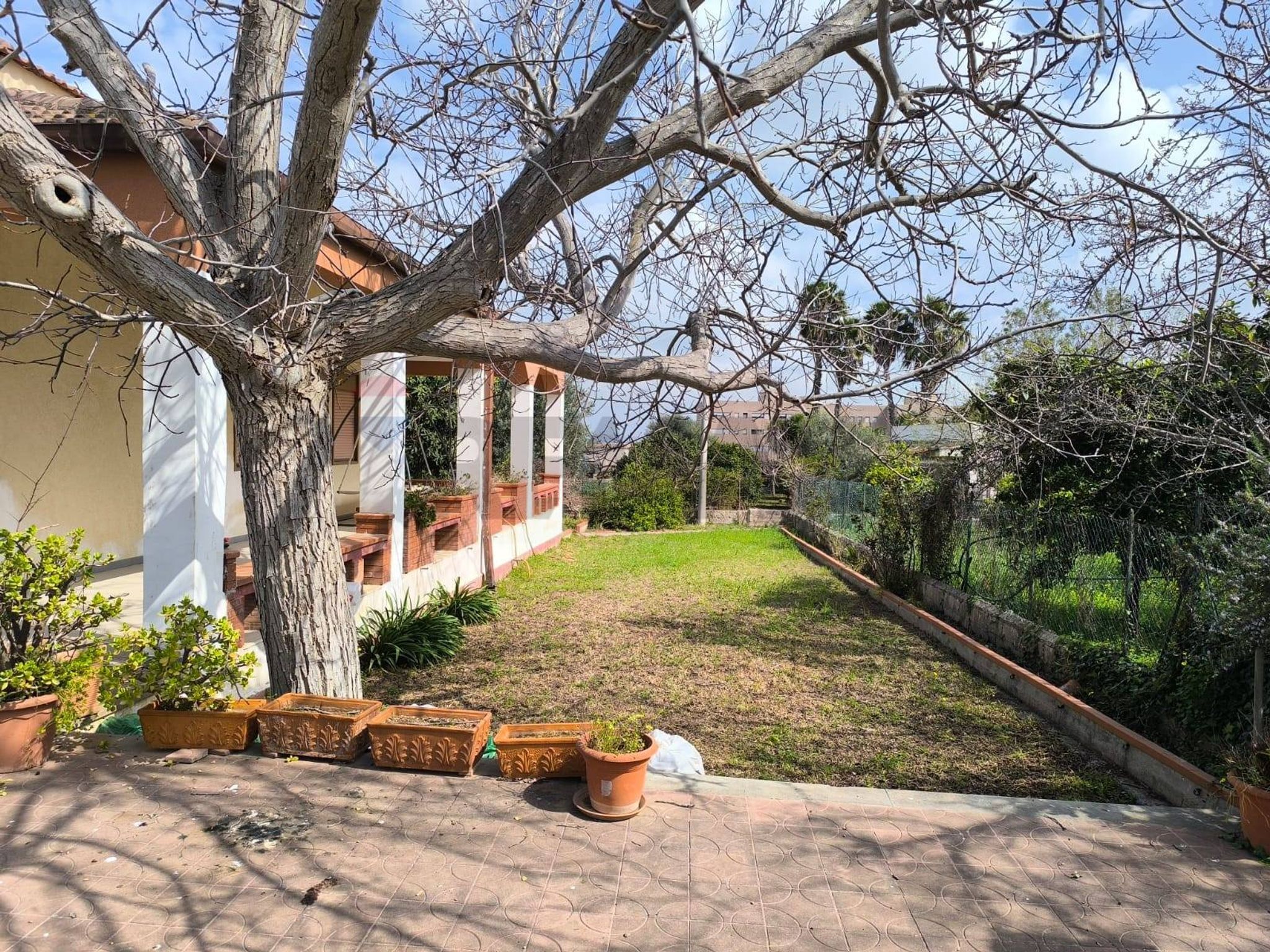 Giardino