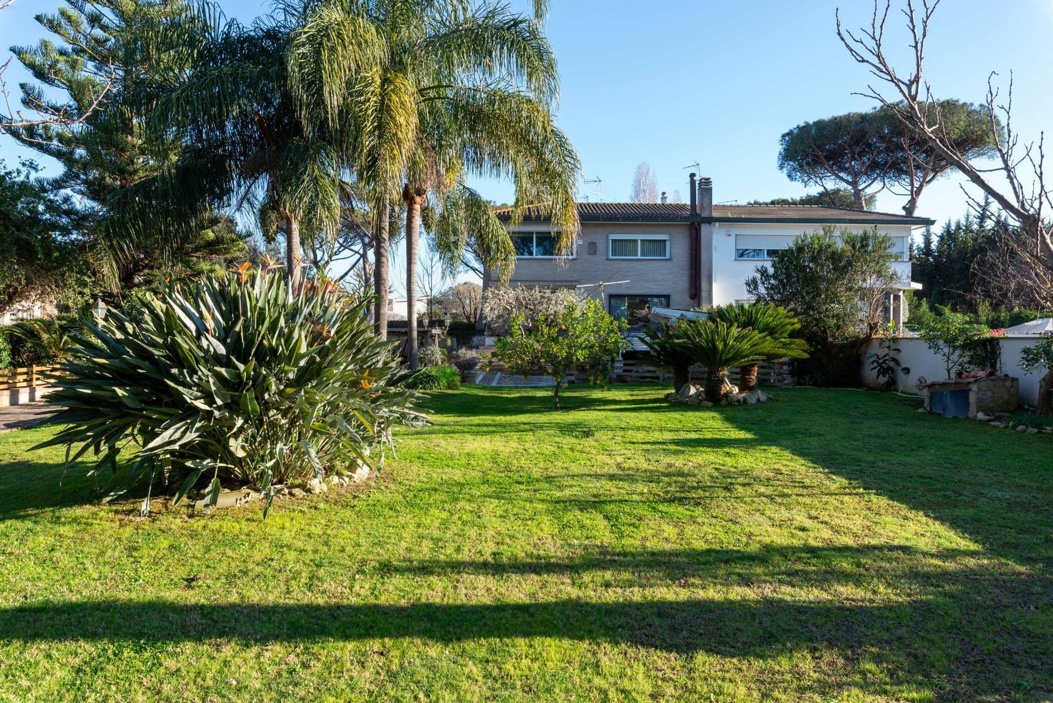 Giardino