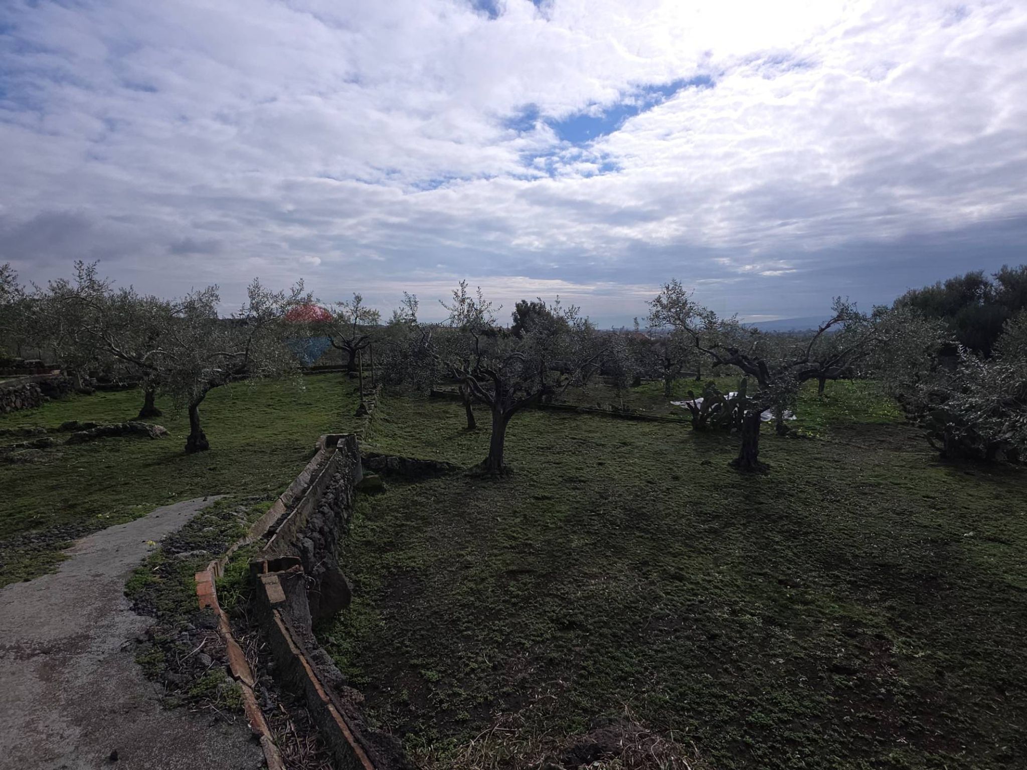 Immobile a San Pietro Clarenza