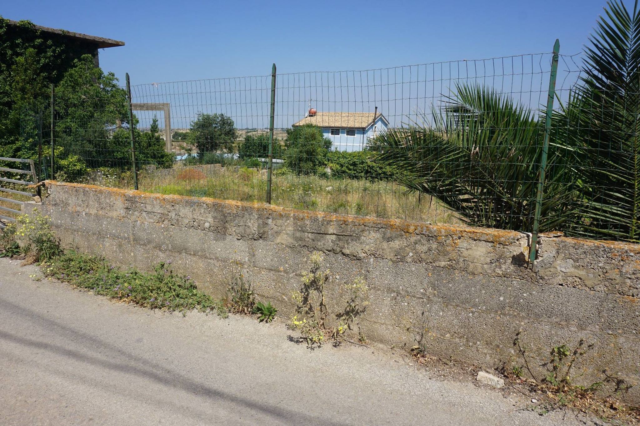 Giardino
