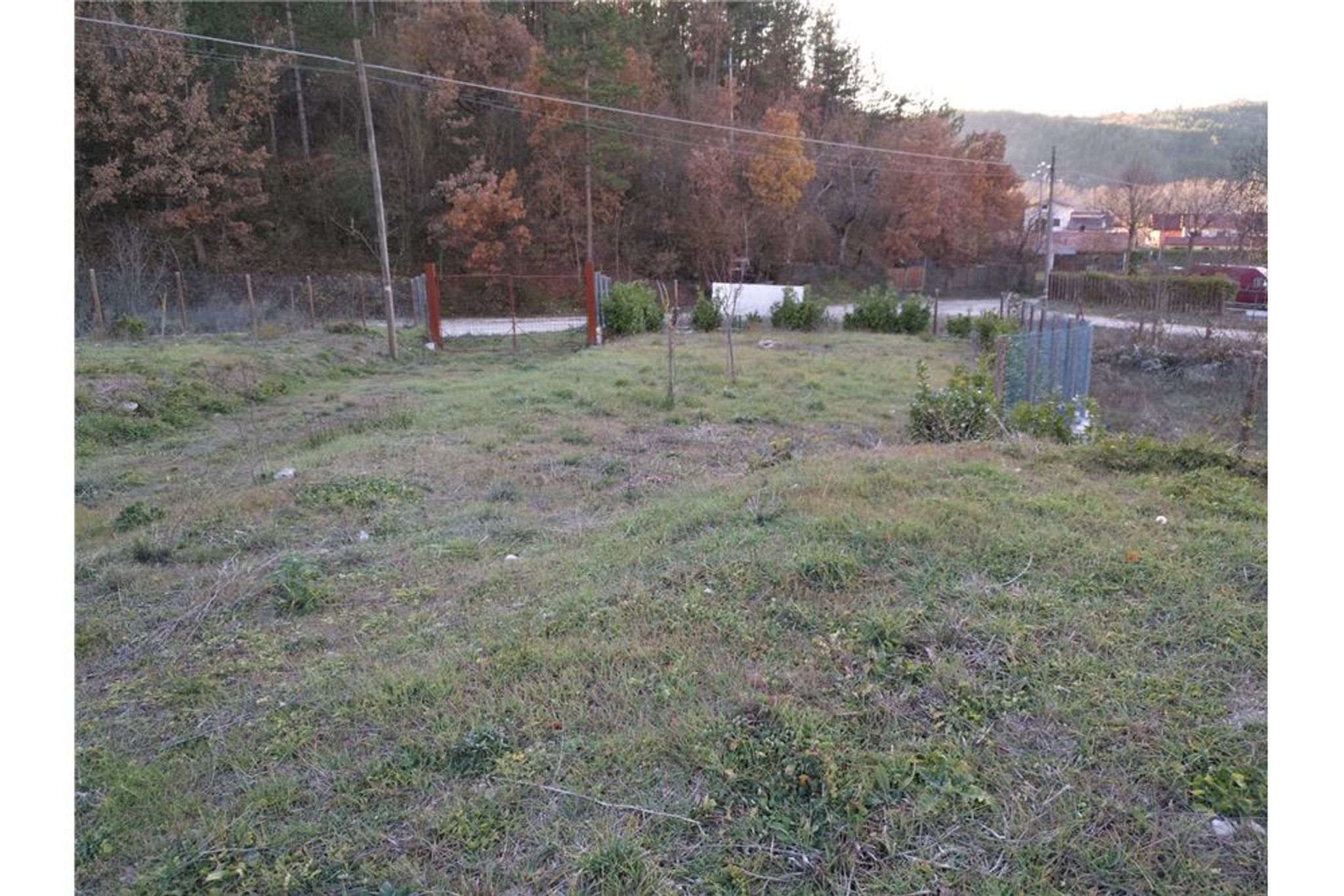 Giardino