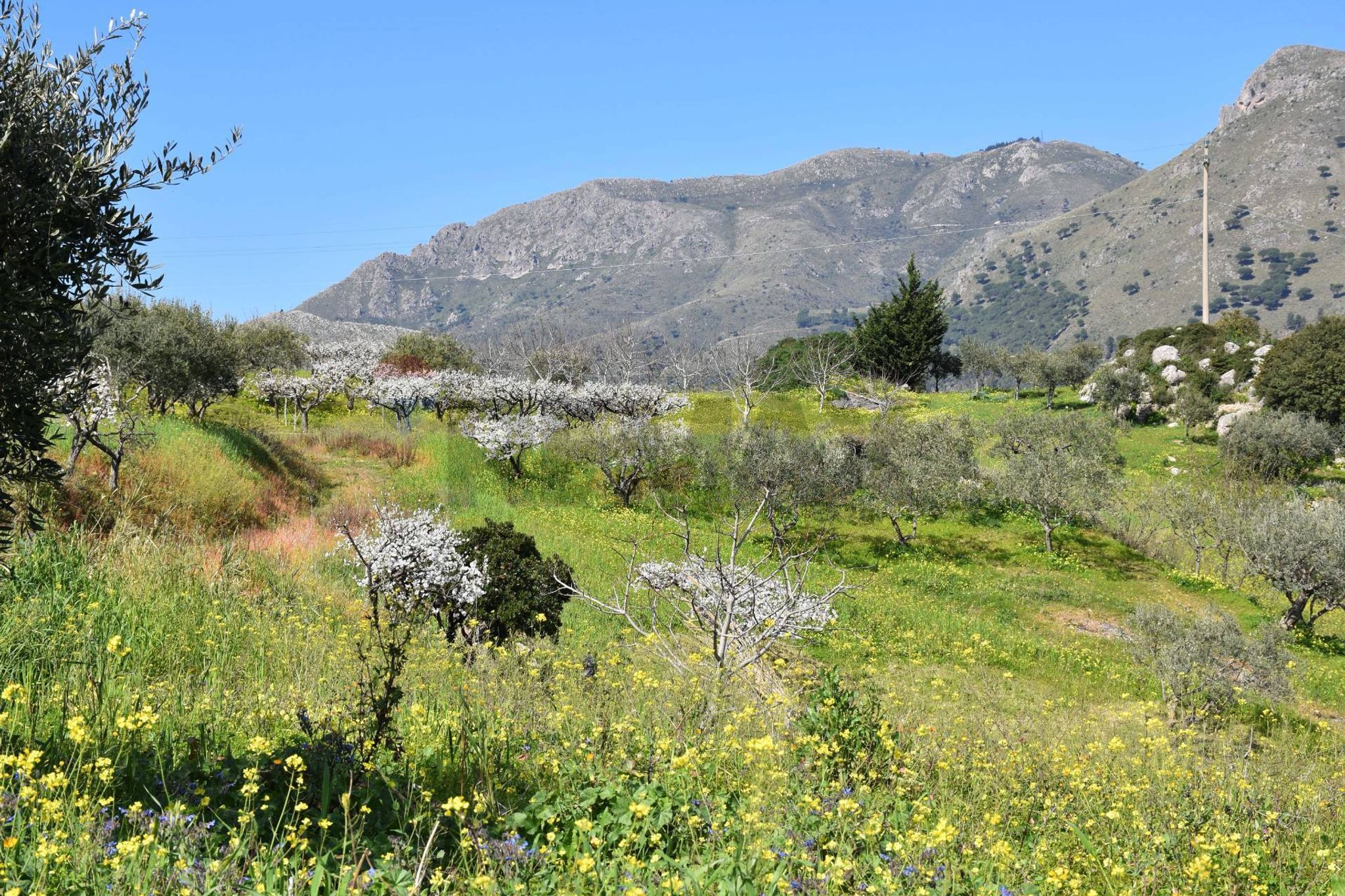 Vista delle montagne