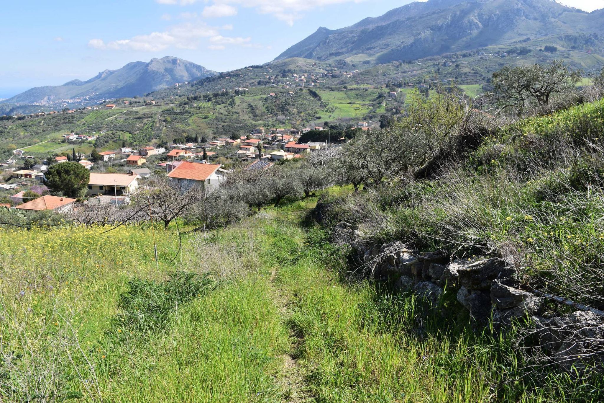 Vista delle montagne