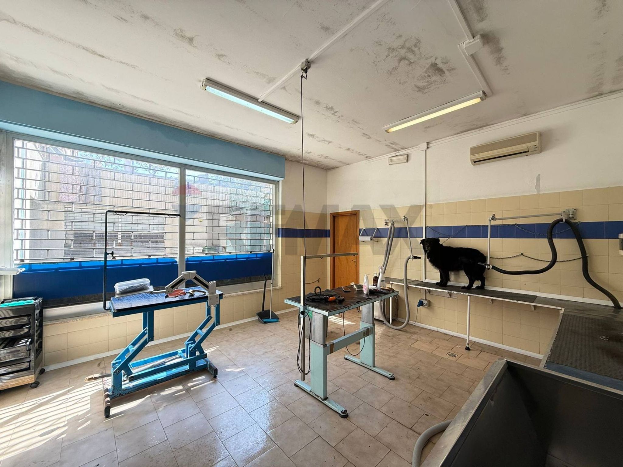 Palestra