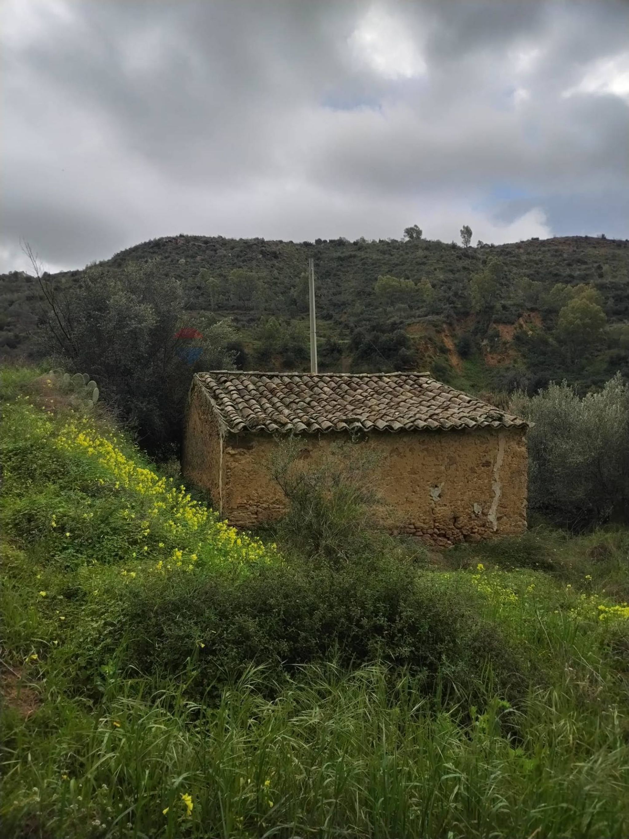 Vista delle montagne