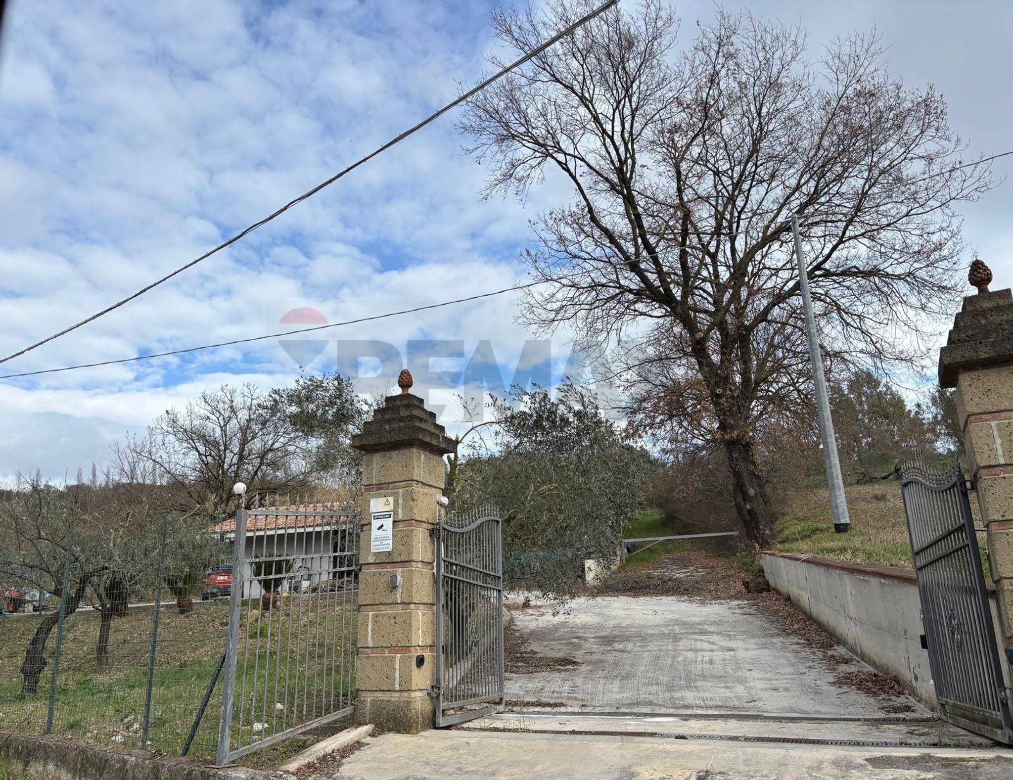 Ingresso