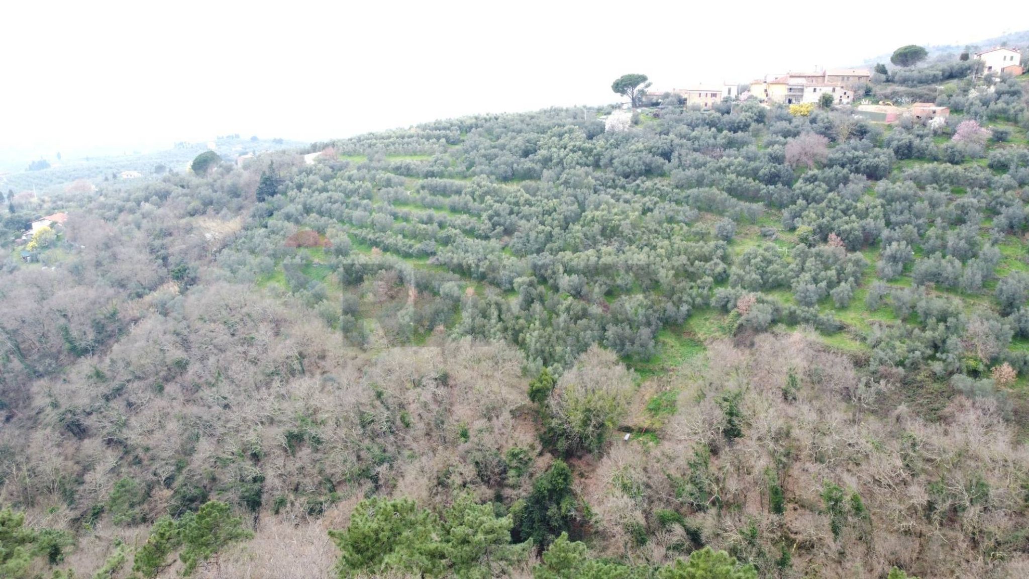 panoramica