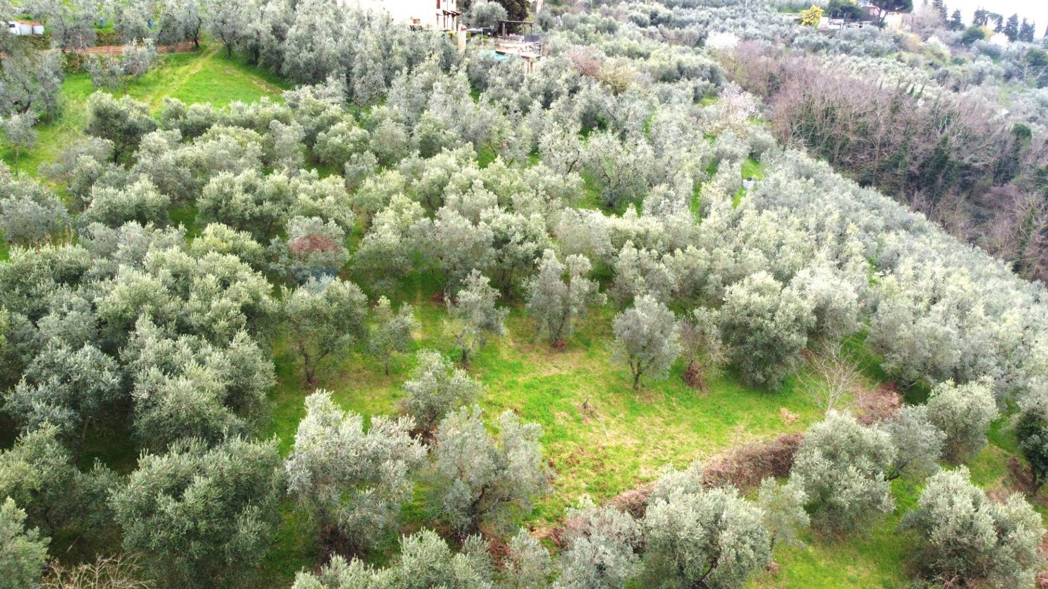 panoramica
