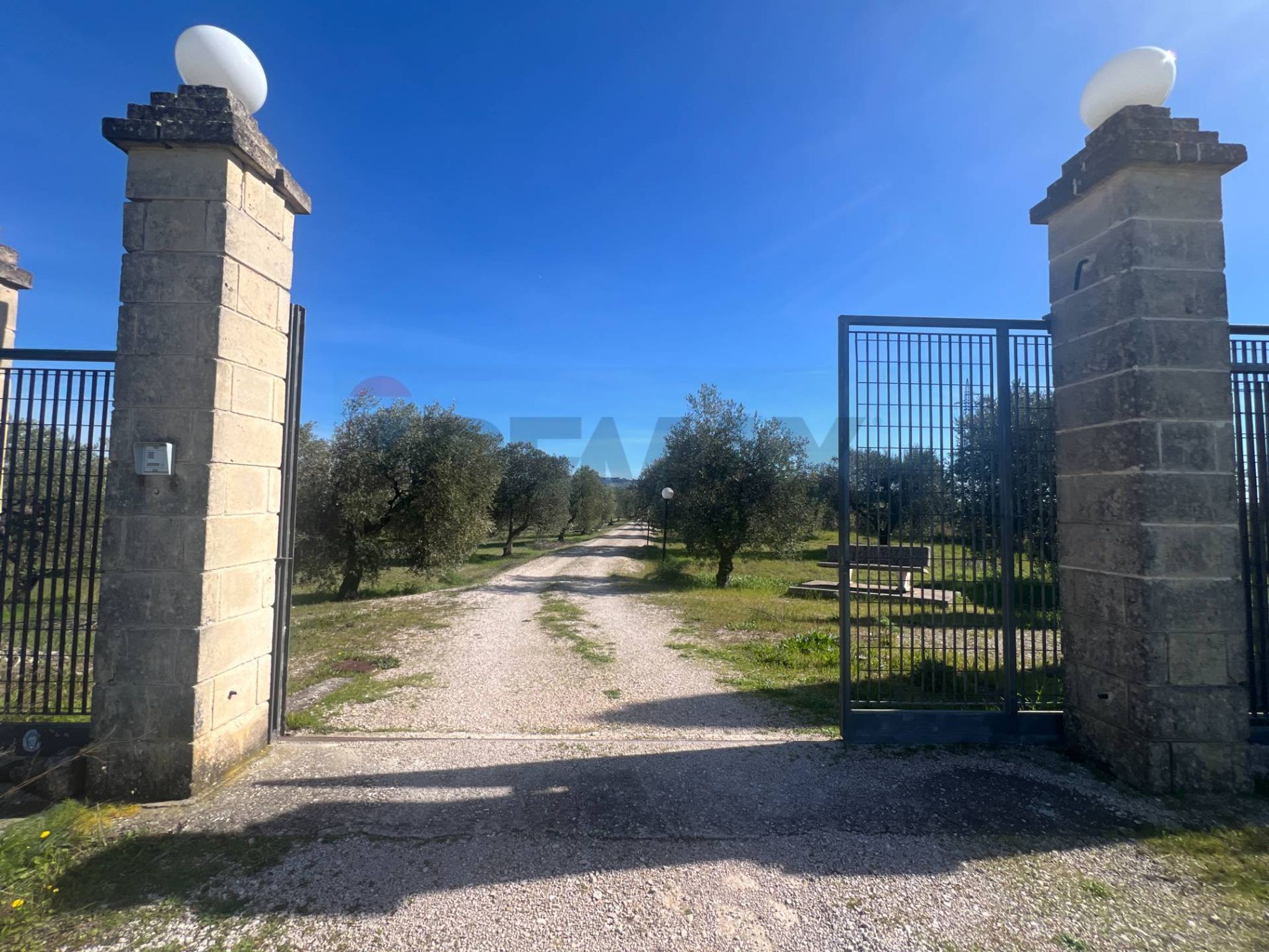 Giardino