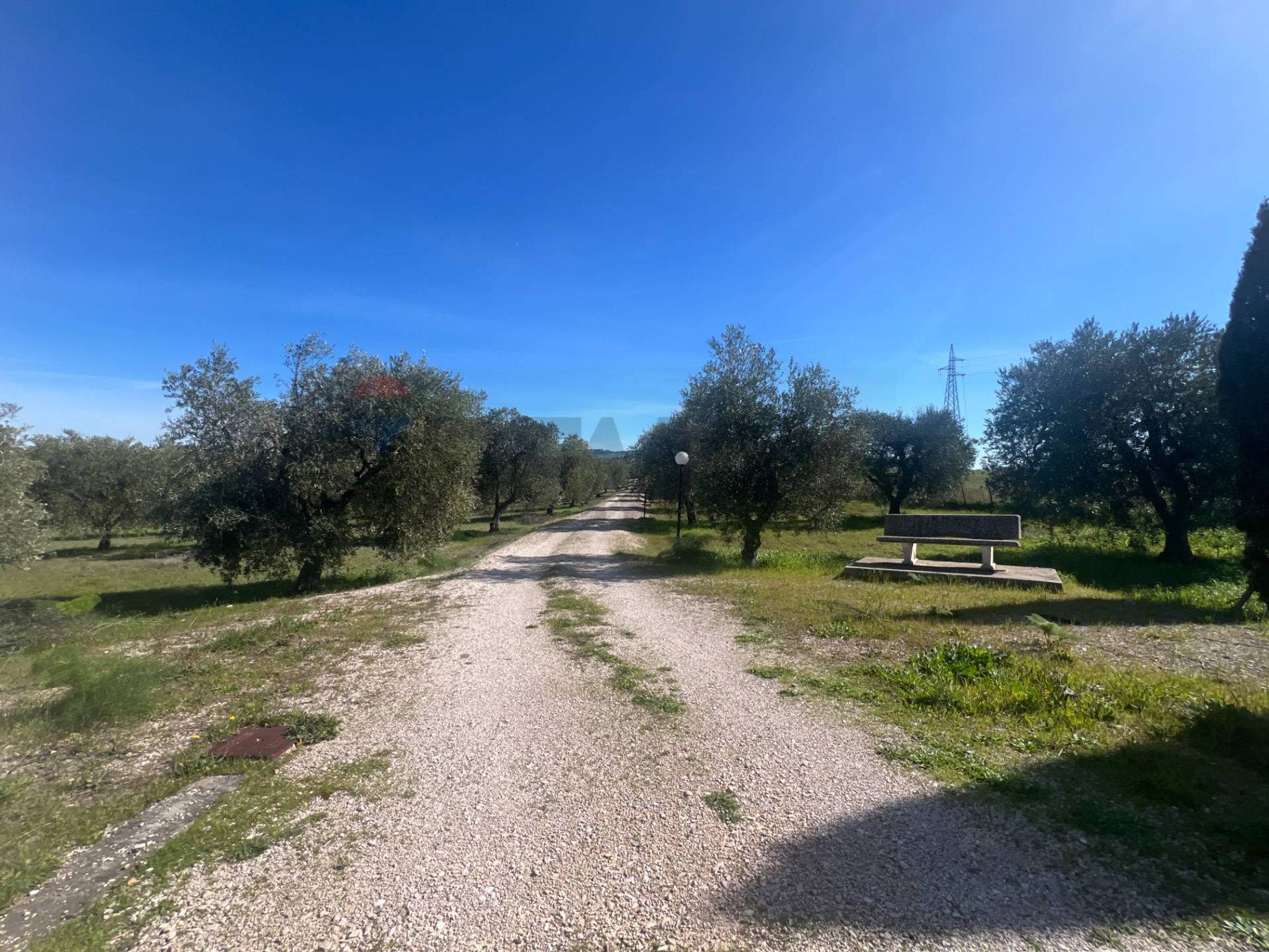 Giardino