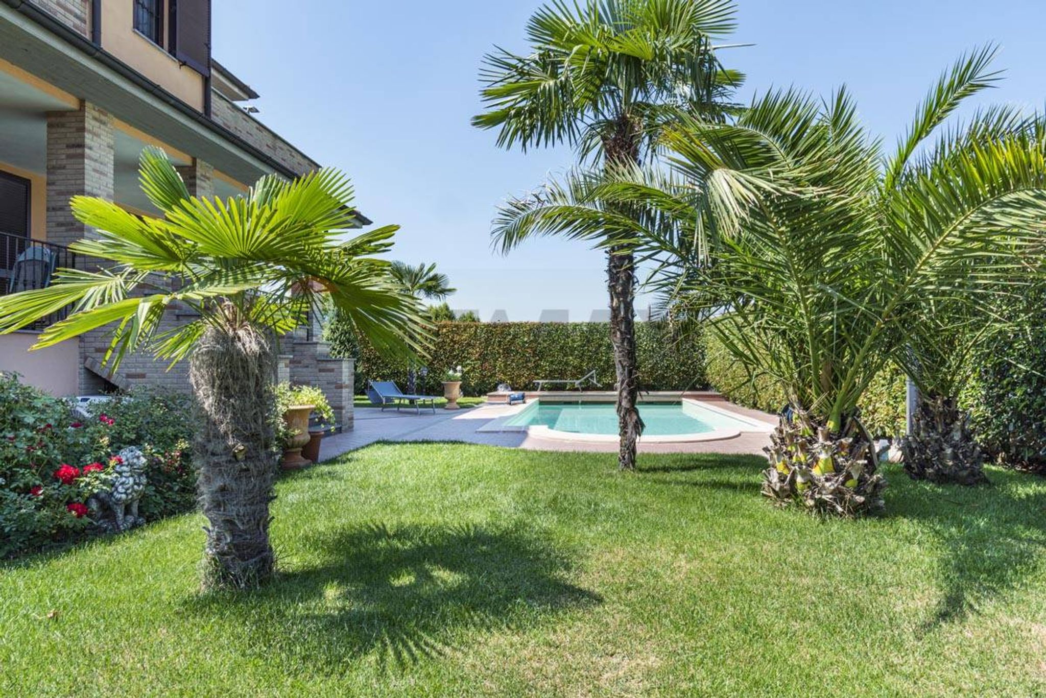 Giardino