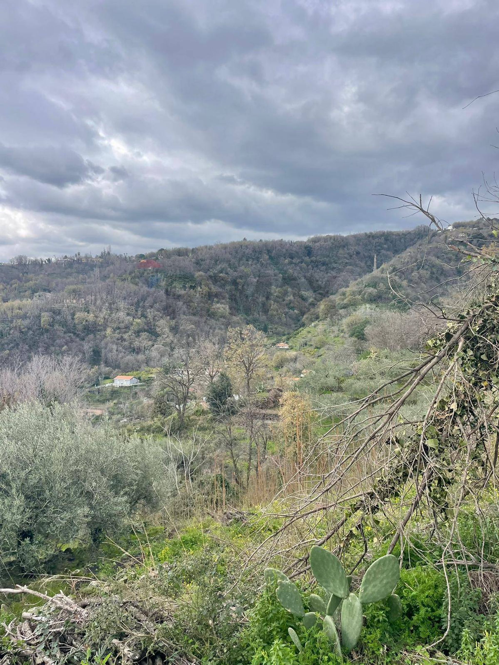 Vista delle montagne
