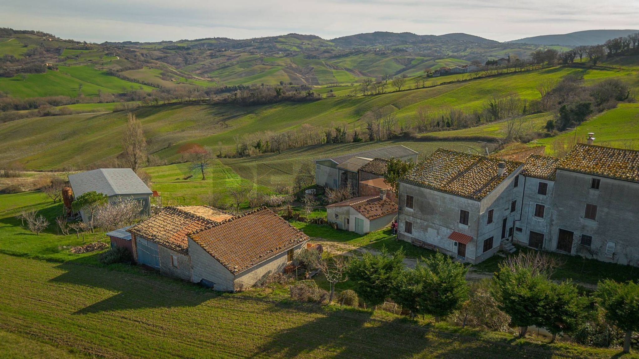 Vista delle montagne