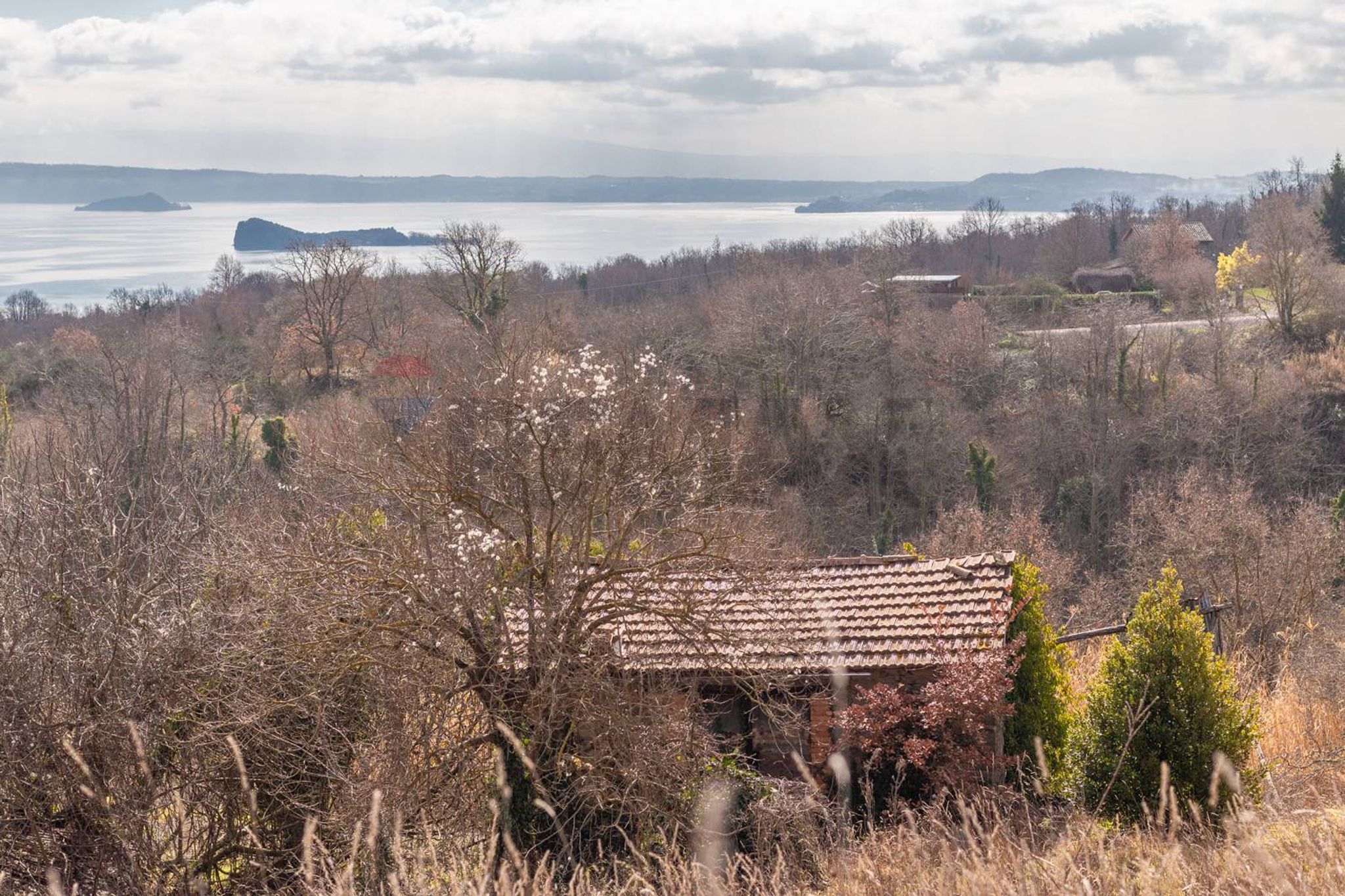 Property in Gradoli