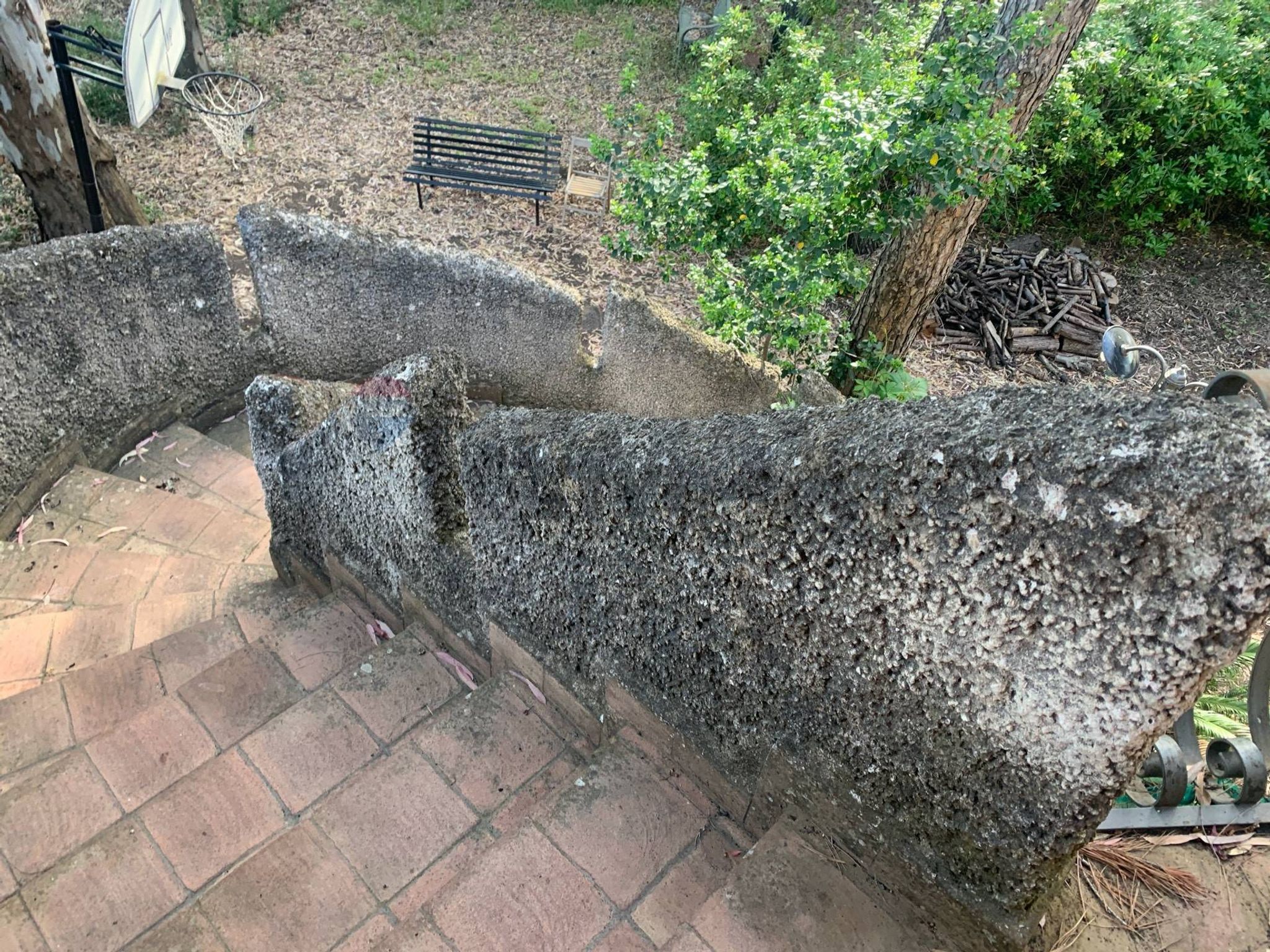 Giardino