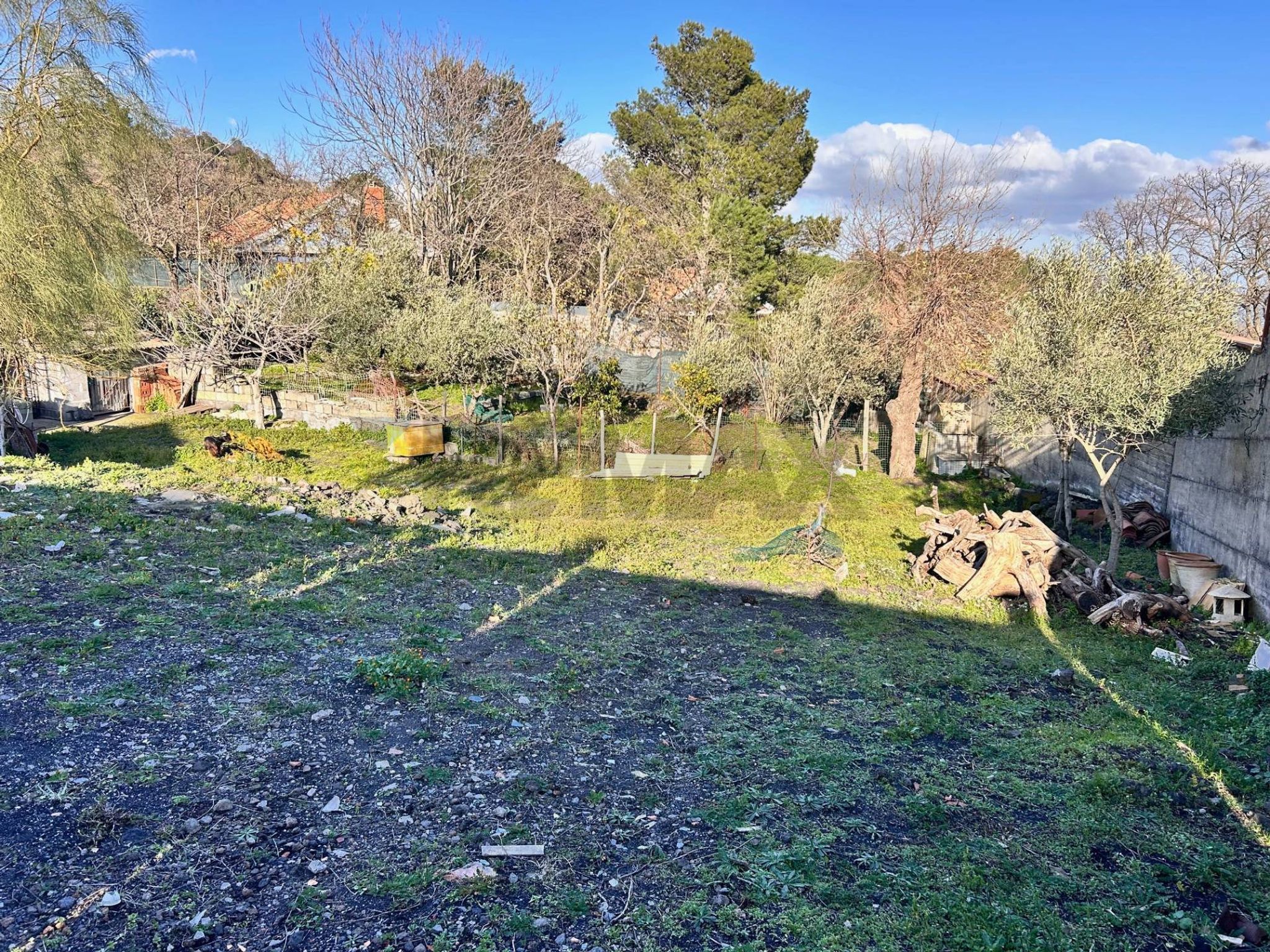 Giardino