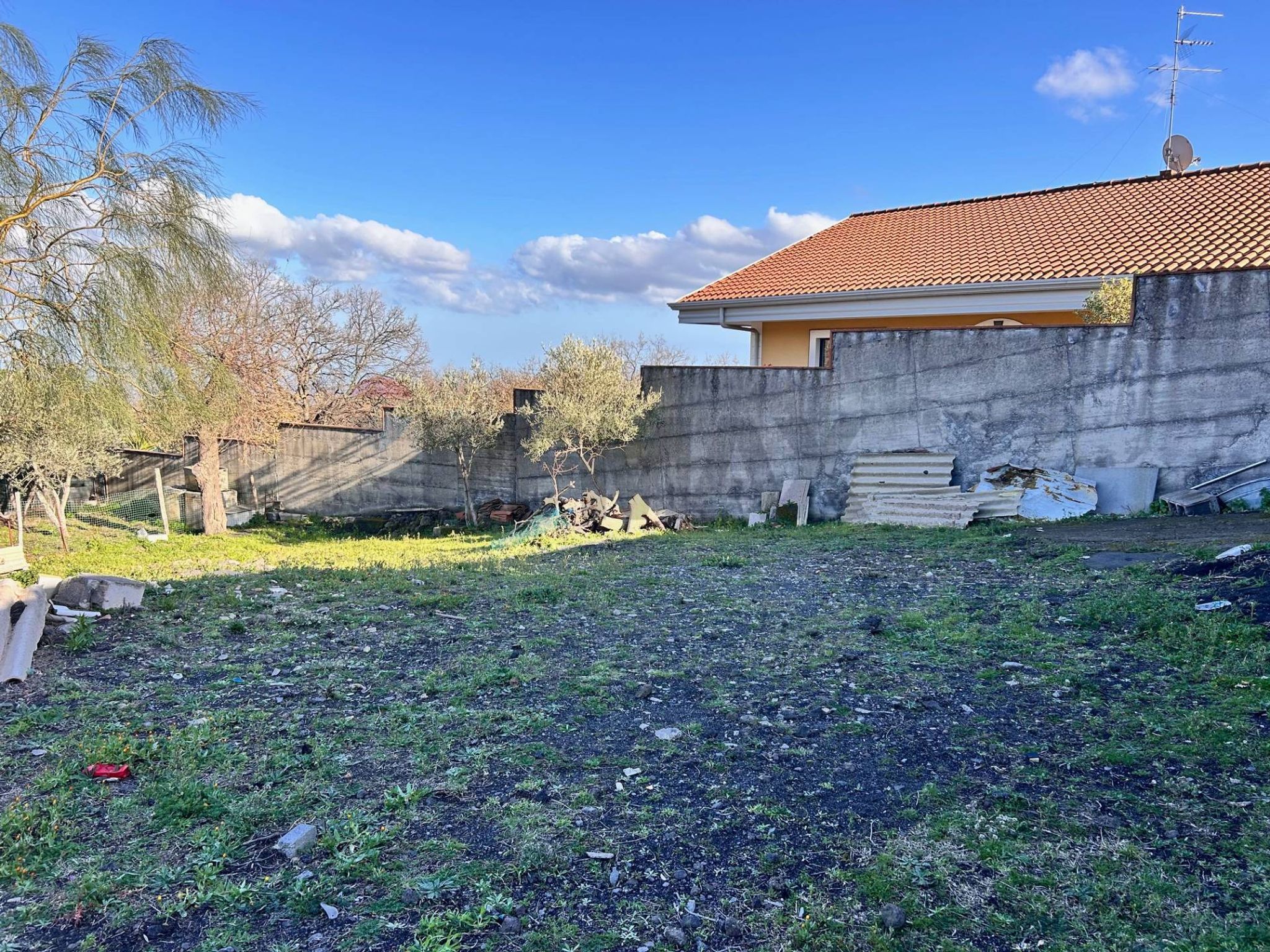 Giardino