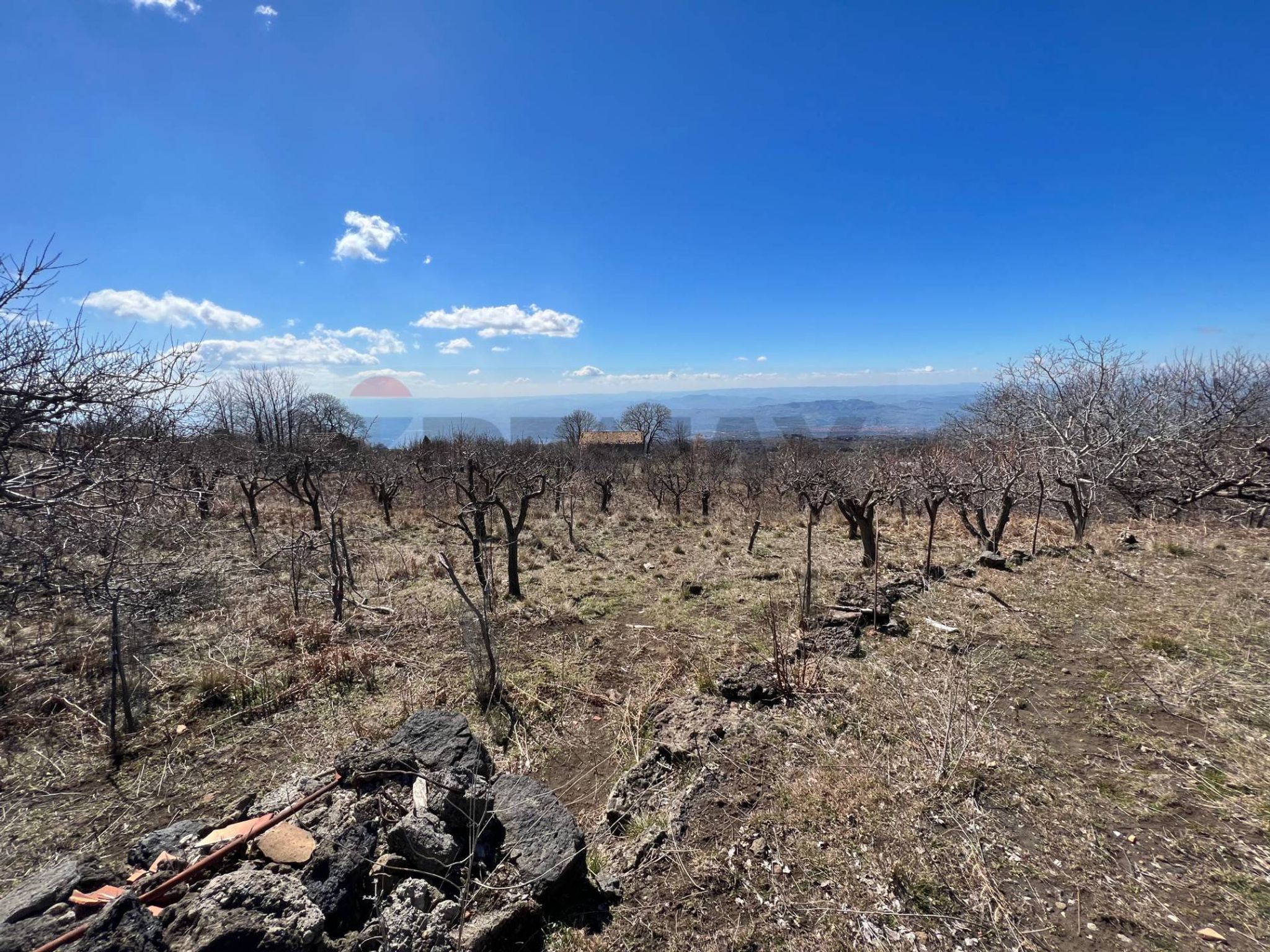 Vista delle montagne