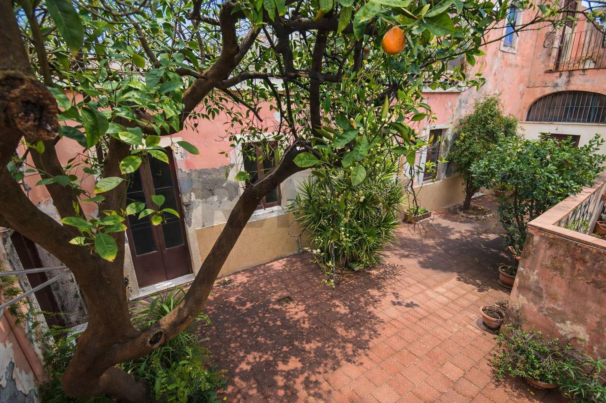 Giardino