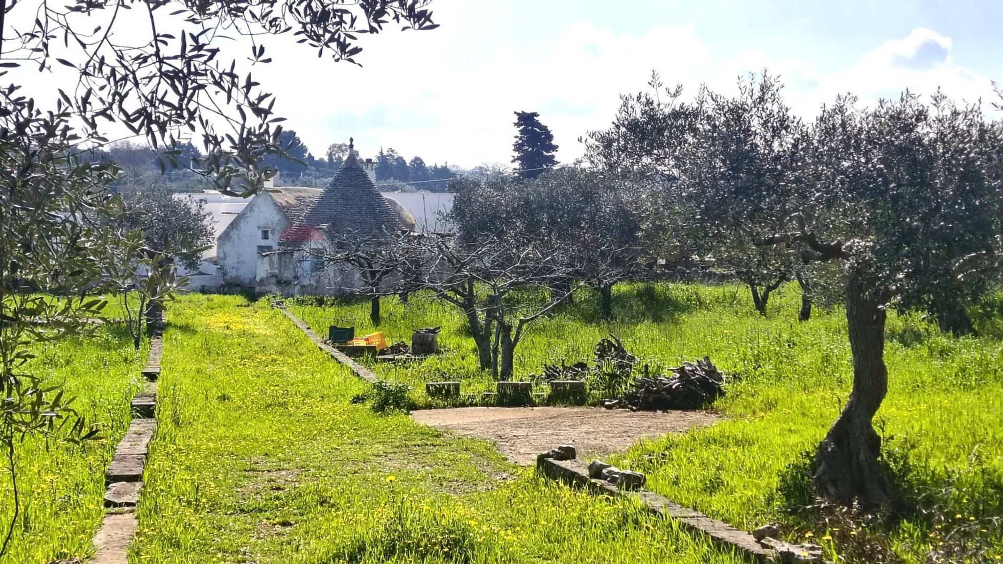 Giardino