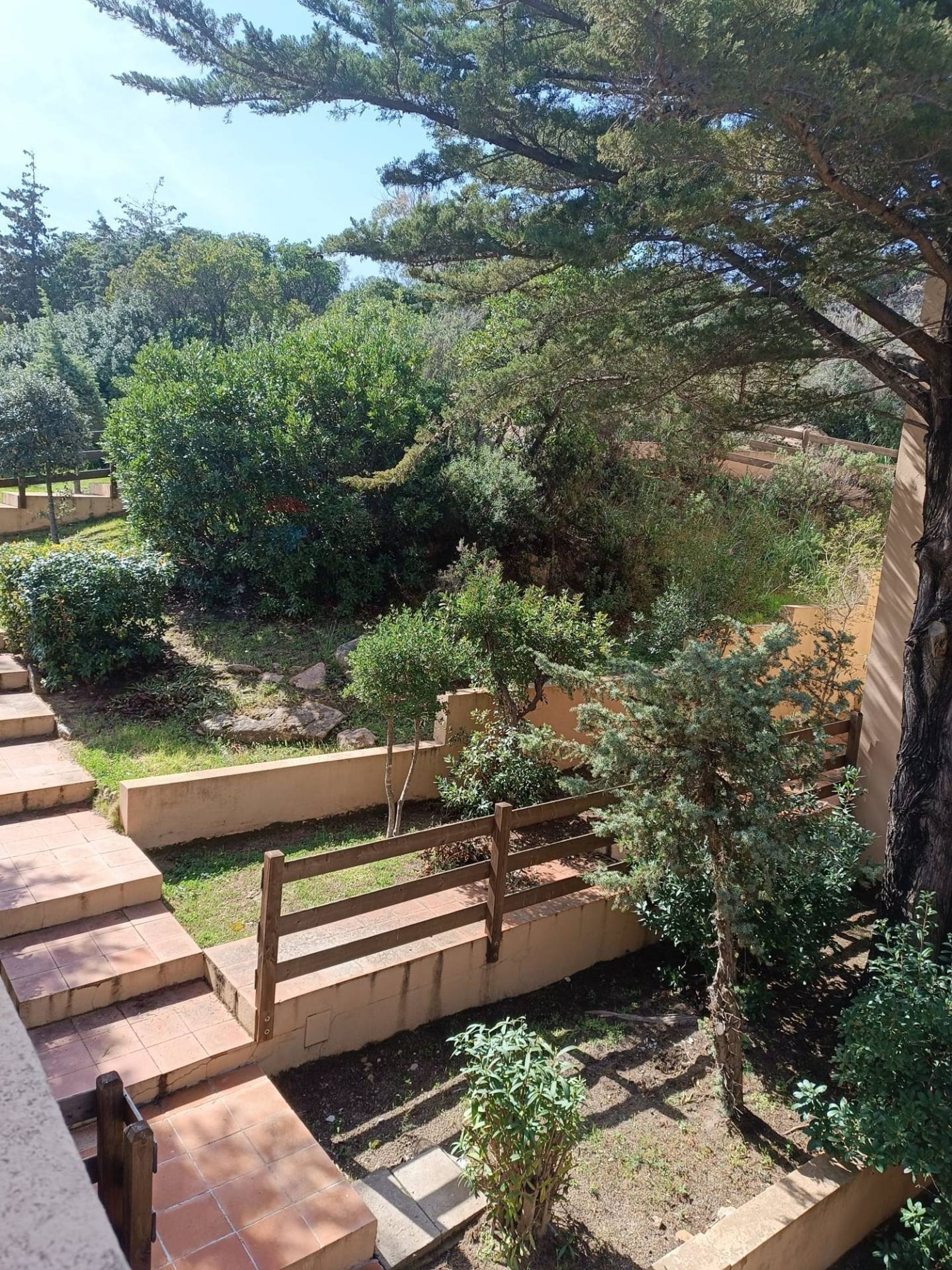 Giardino