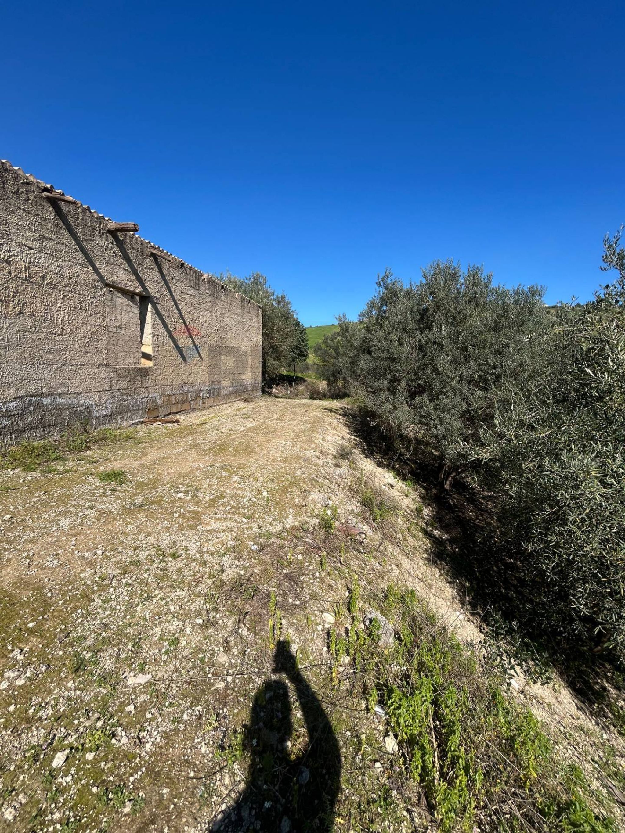 Vista delle montagne