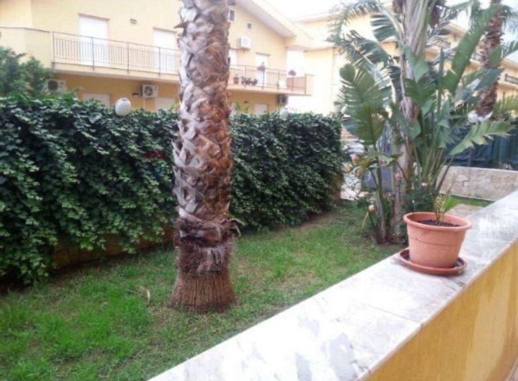 Giardino